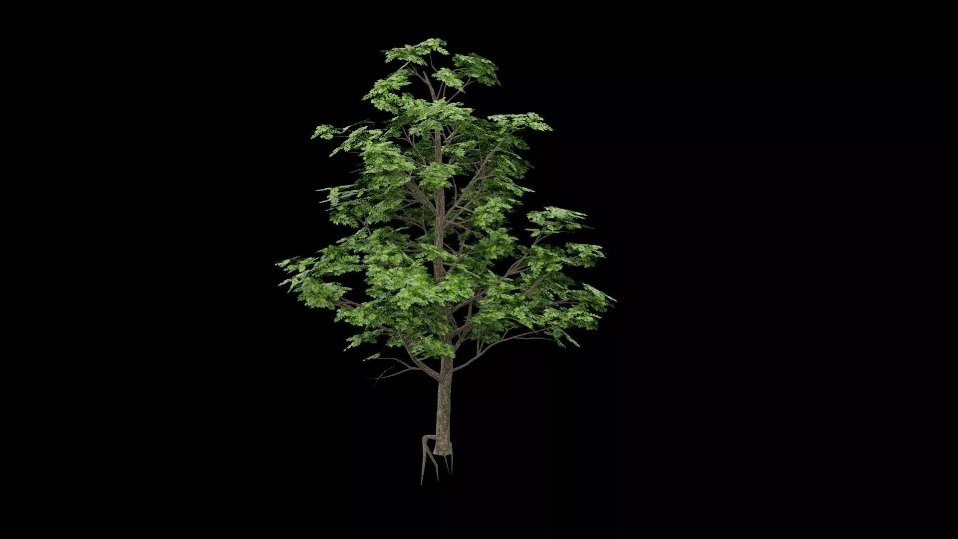 Realistic Tree Low-poly 3D model_3