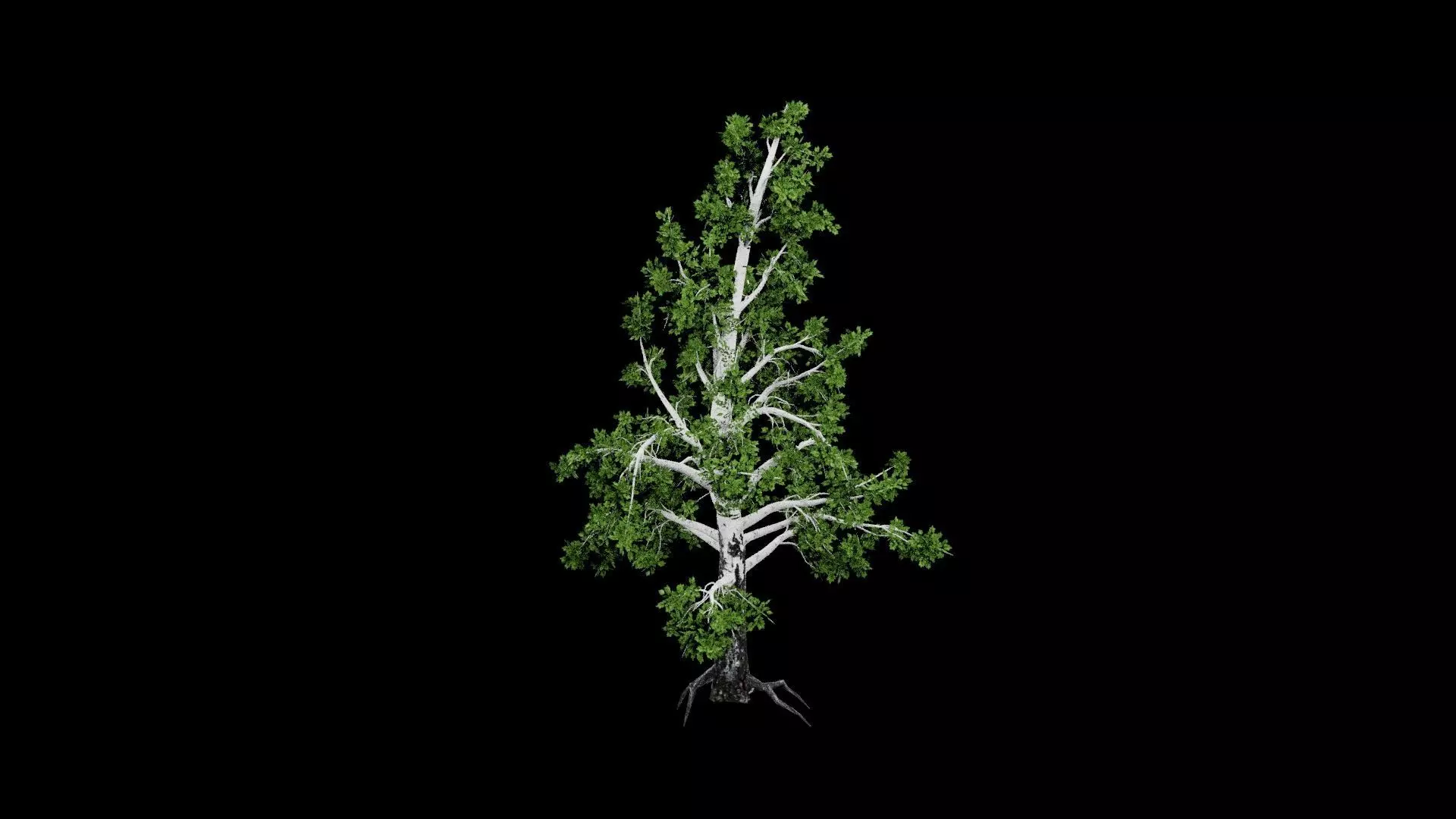 Realistic Tree Low-poly 3D model_2