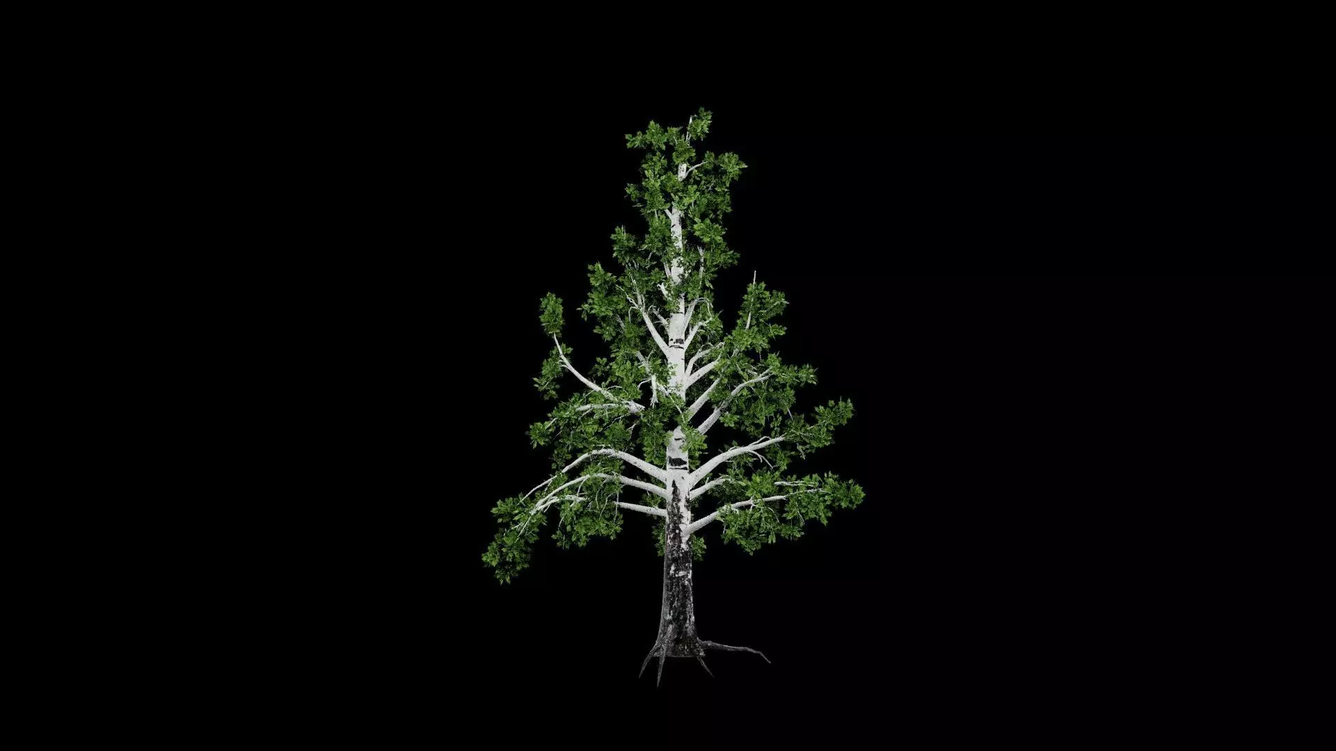 Realistic Tree Low-poly 3D model_5