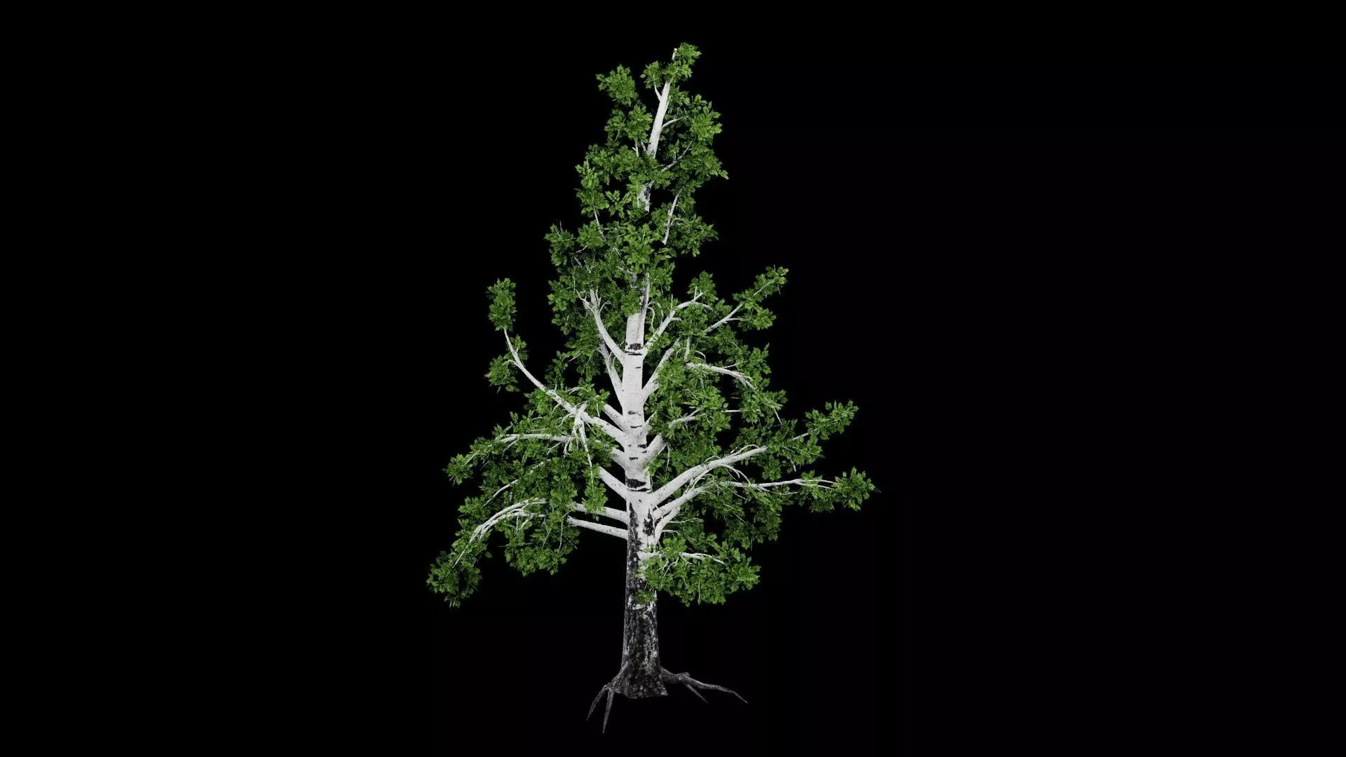Realistic Tree Low-poly 3D model_0
