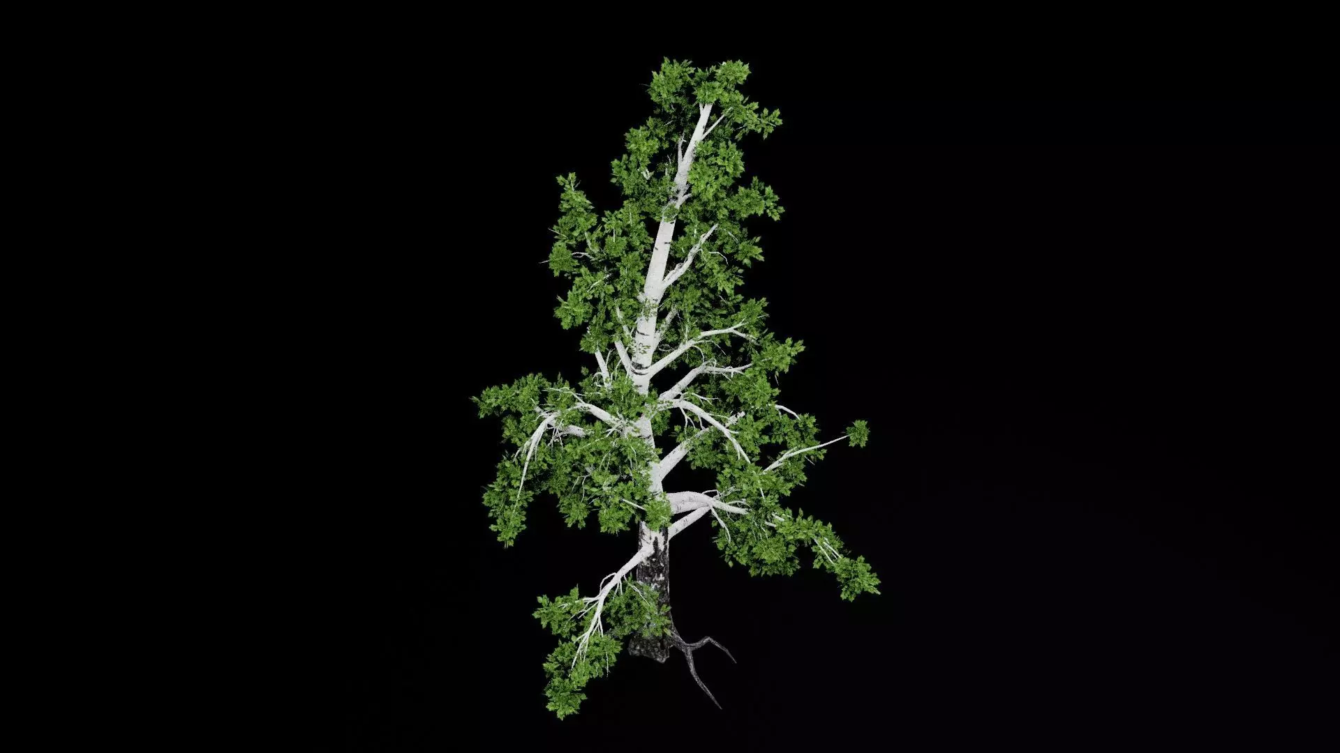 Realistic Tree Low-poly 3D model_6