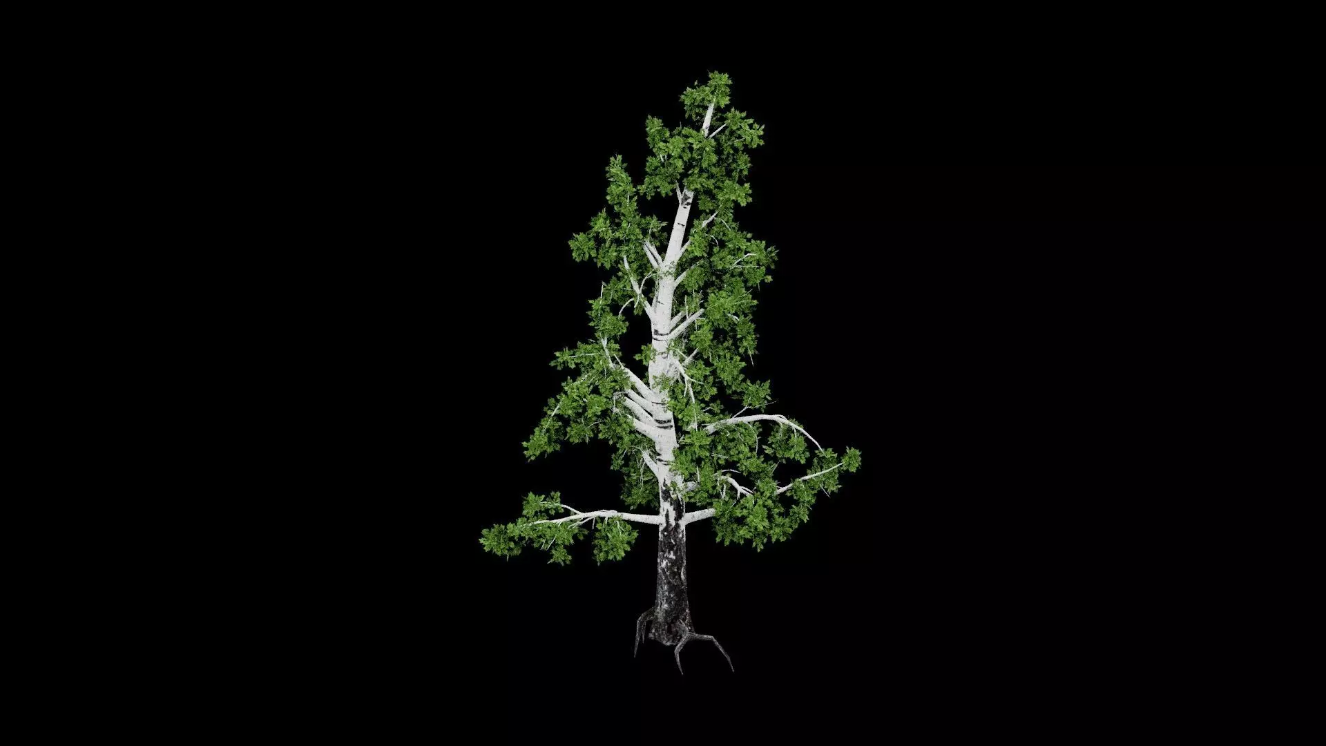 Realistic Tree Low-poly 3D model_4