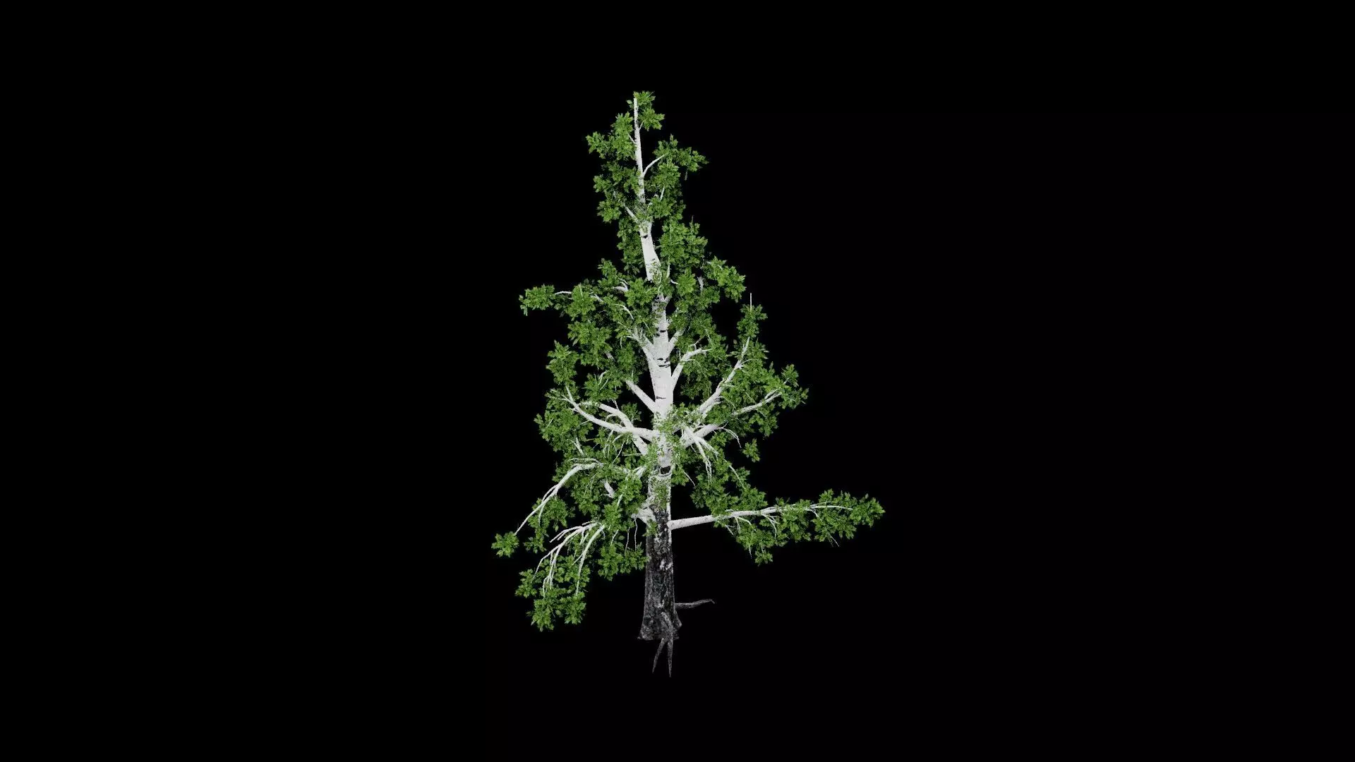 Realistic Tree Low-poly 3D model_1