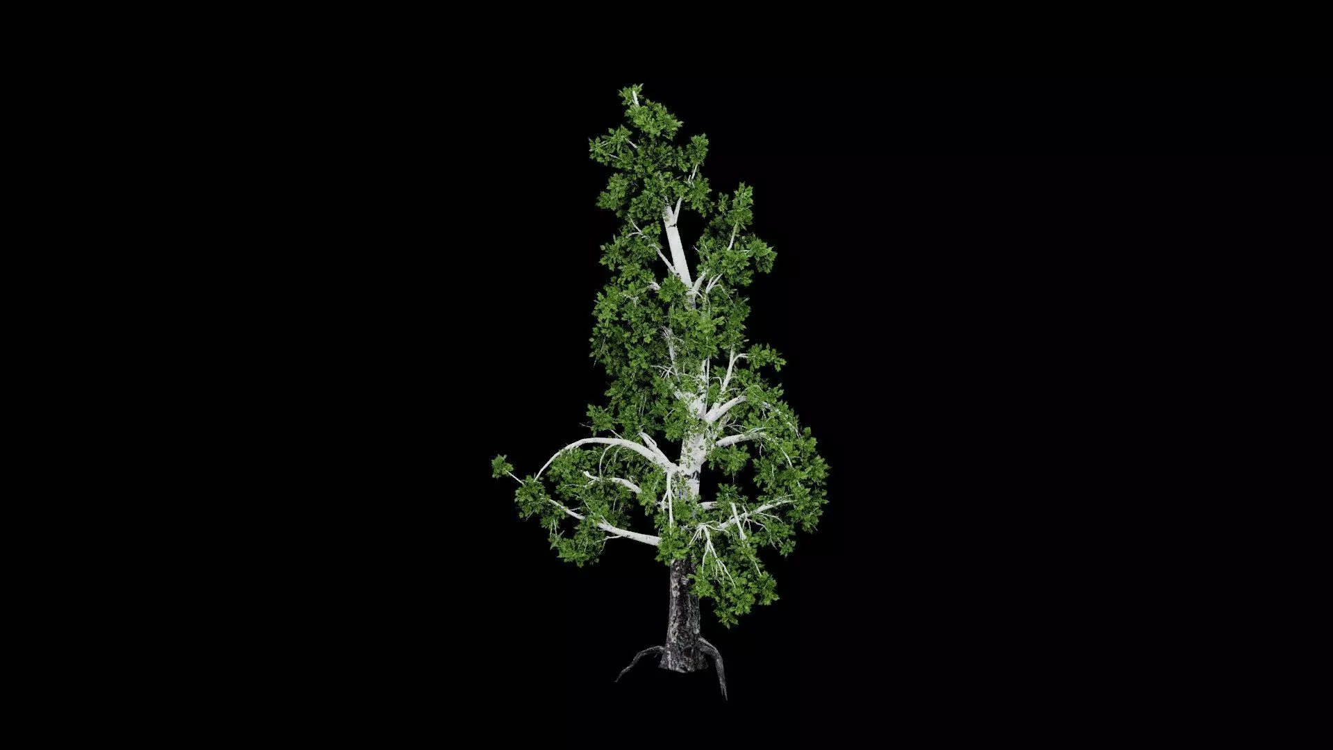 Realistic Tree Low-poly 3D model_3