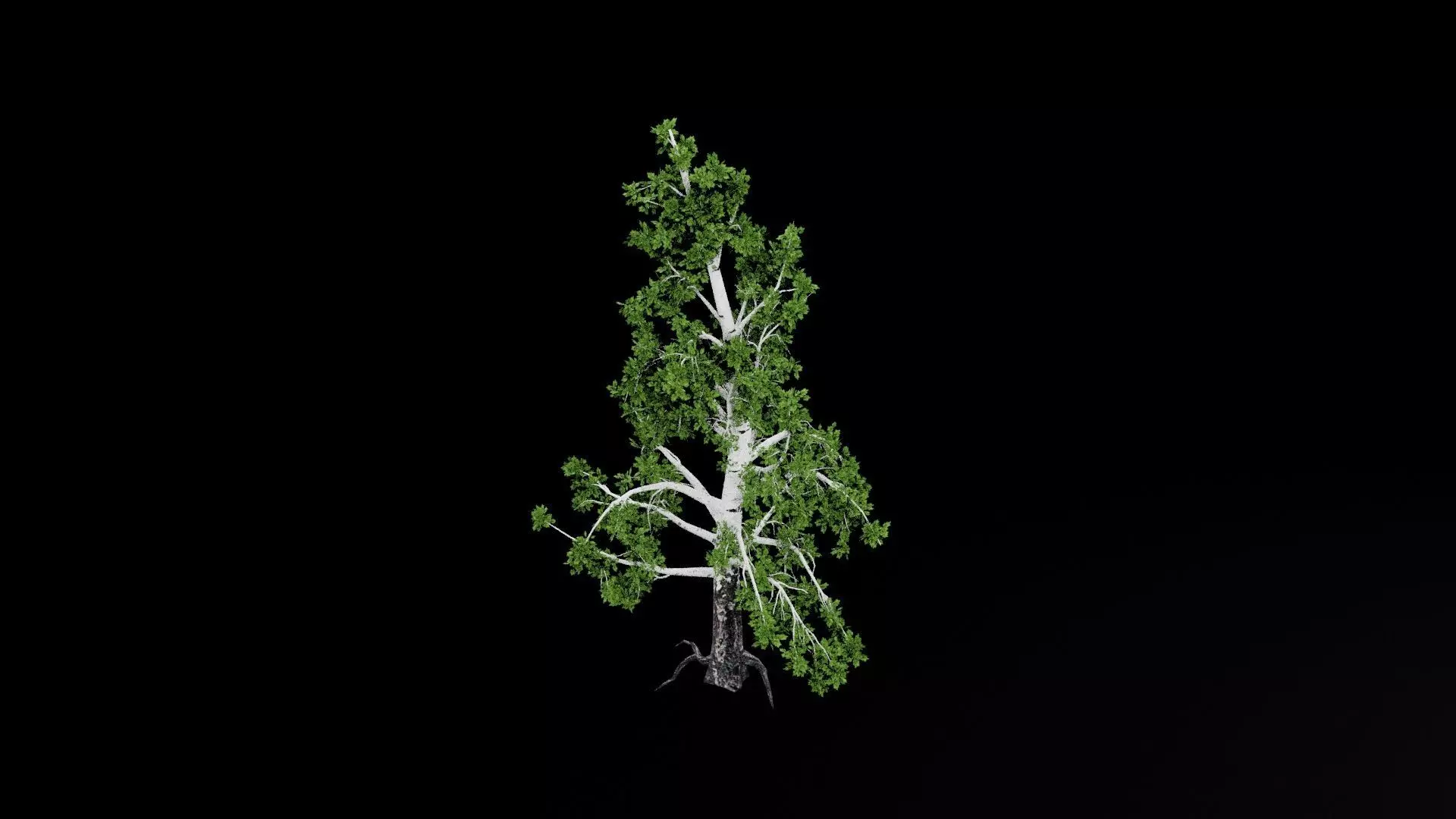 Realistic Tree Low-poly 3D model_7