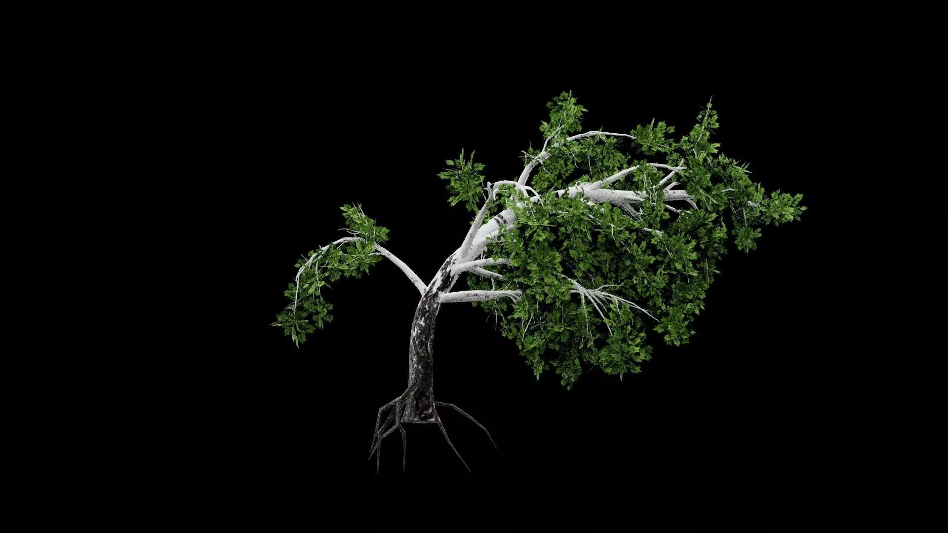 Realistic Tree Low-poly 3D model_5