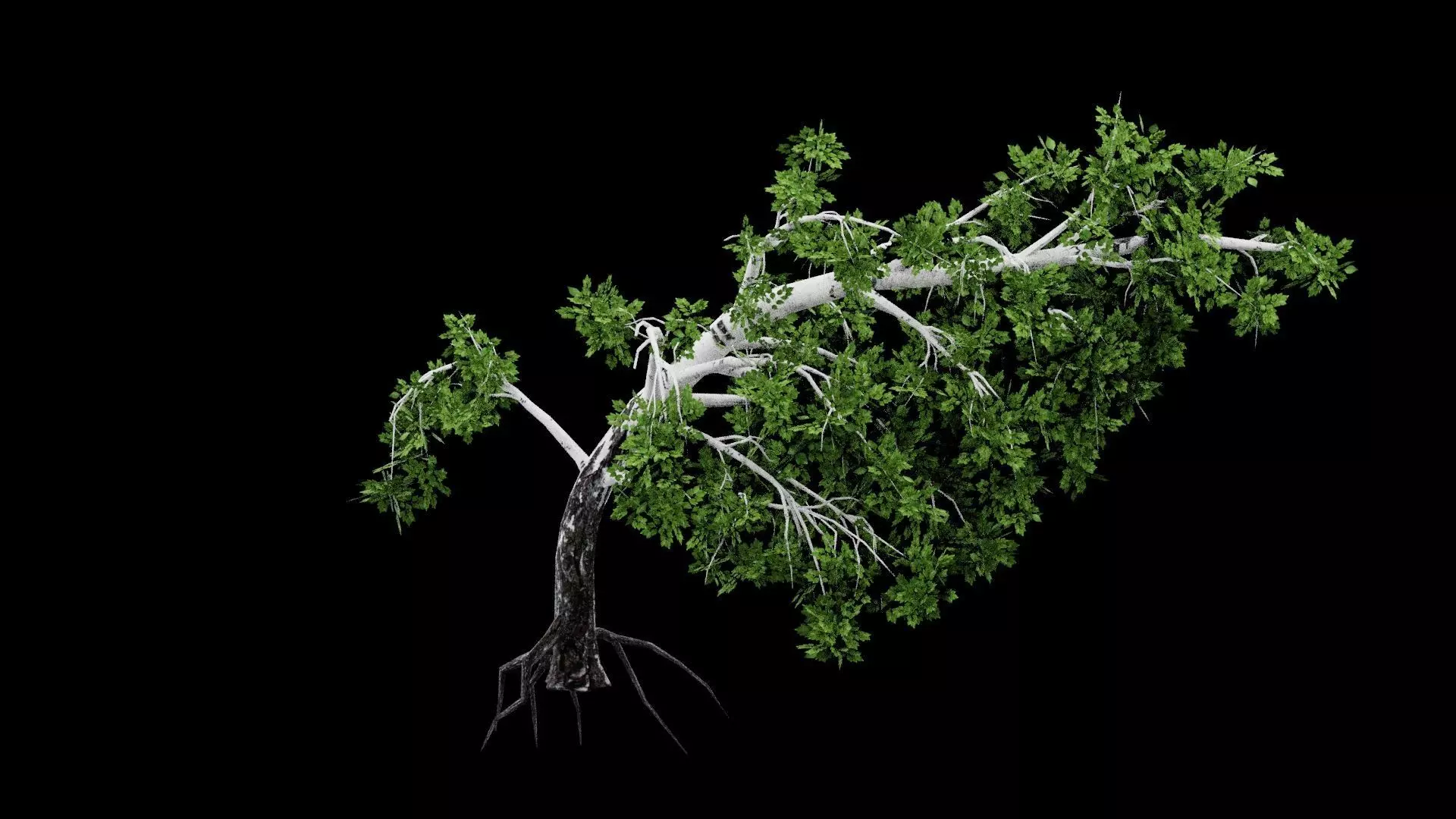 Realistic Tree Low-poly 3D model_1