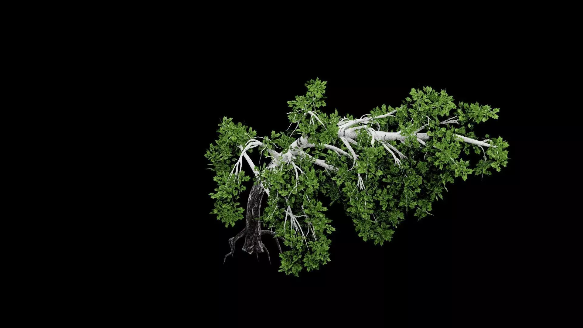 Realistic Tree Low-poly 3D model_3