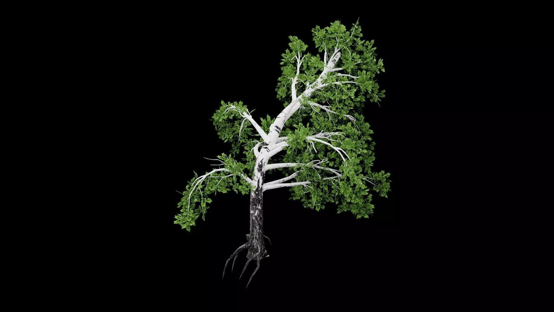 Realistic Tree Low-poly 3D model_2