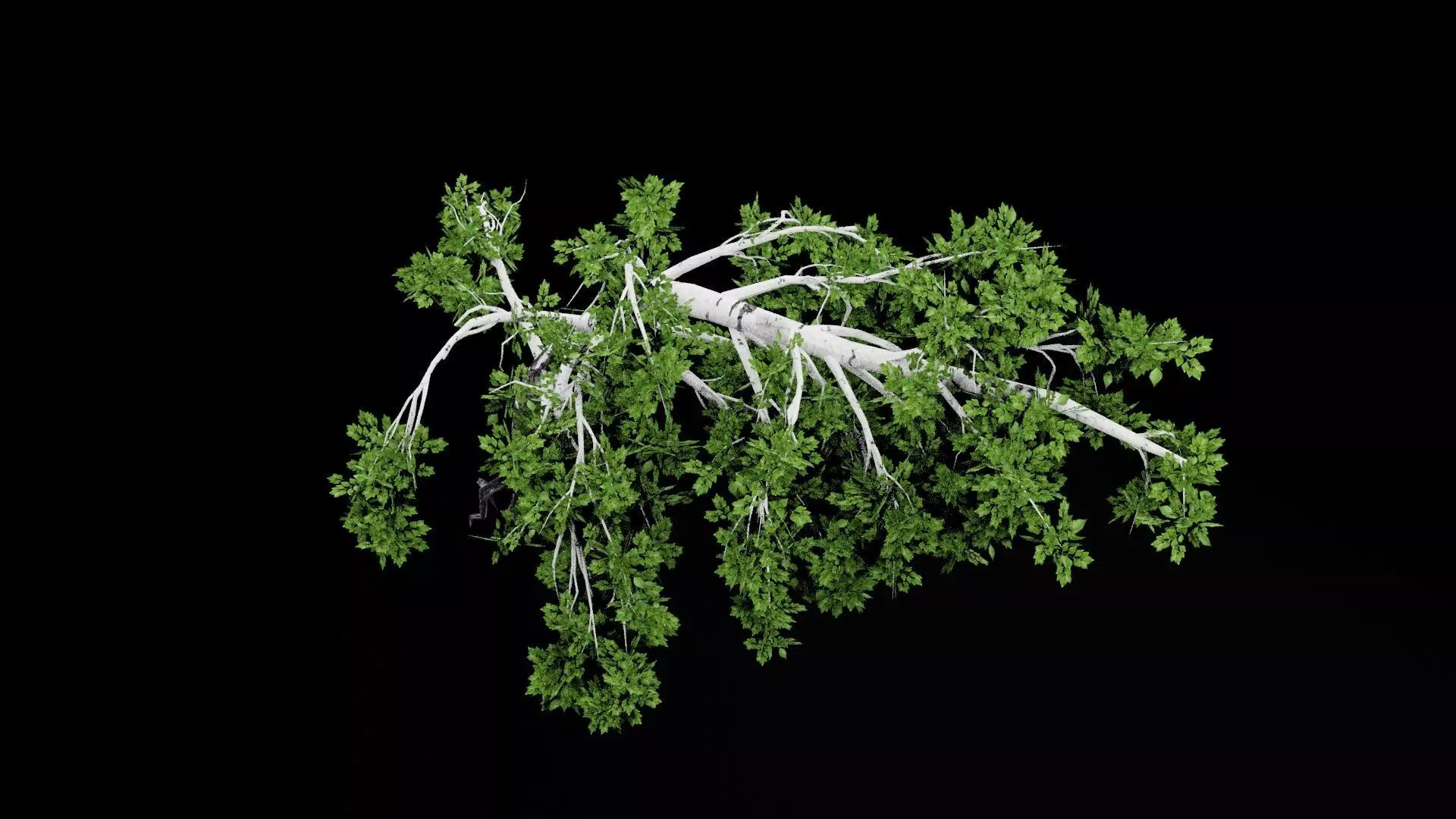 Realistic Tree Low-poly 3D model_6