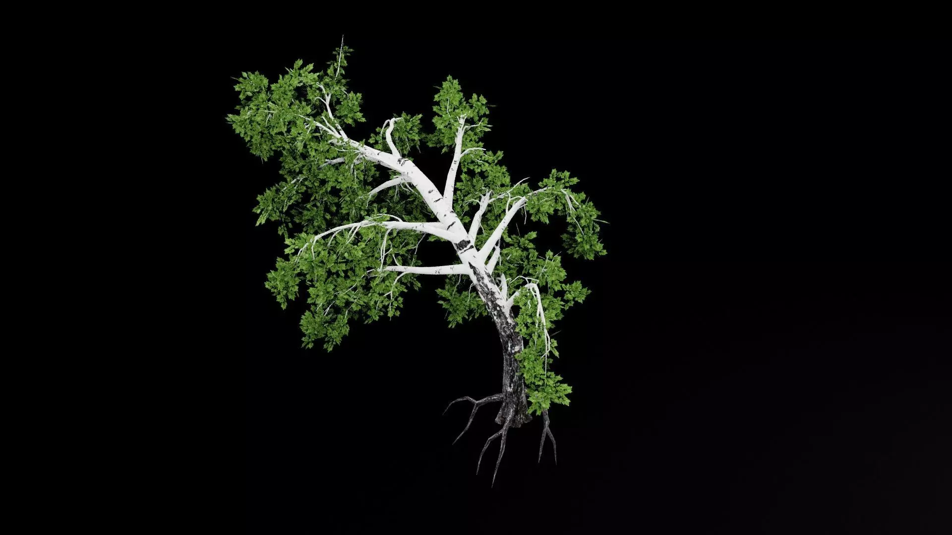 Realistic Tree Low-poly 3D model_7
