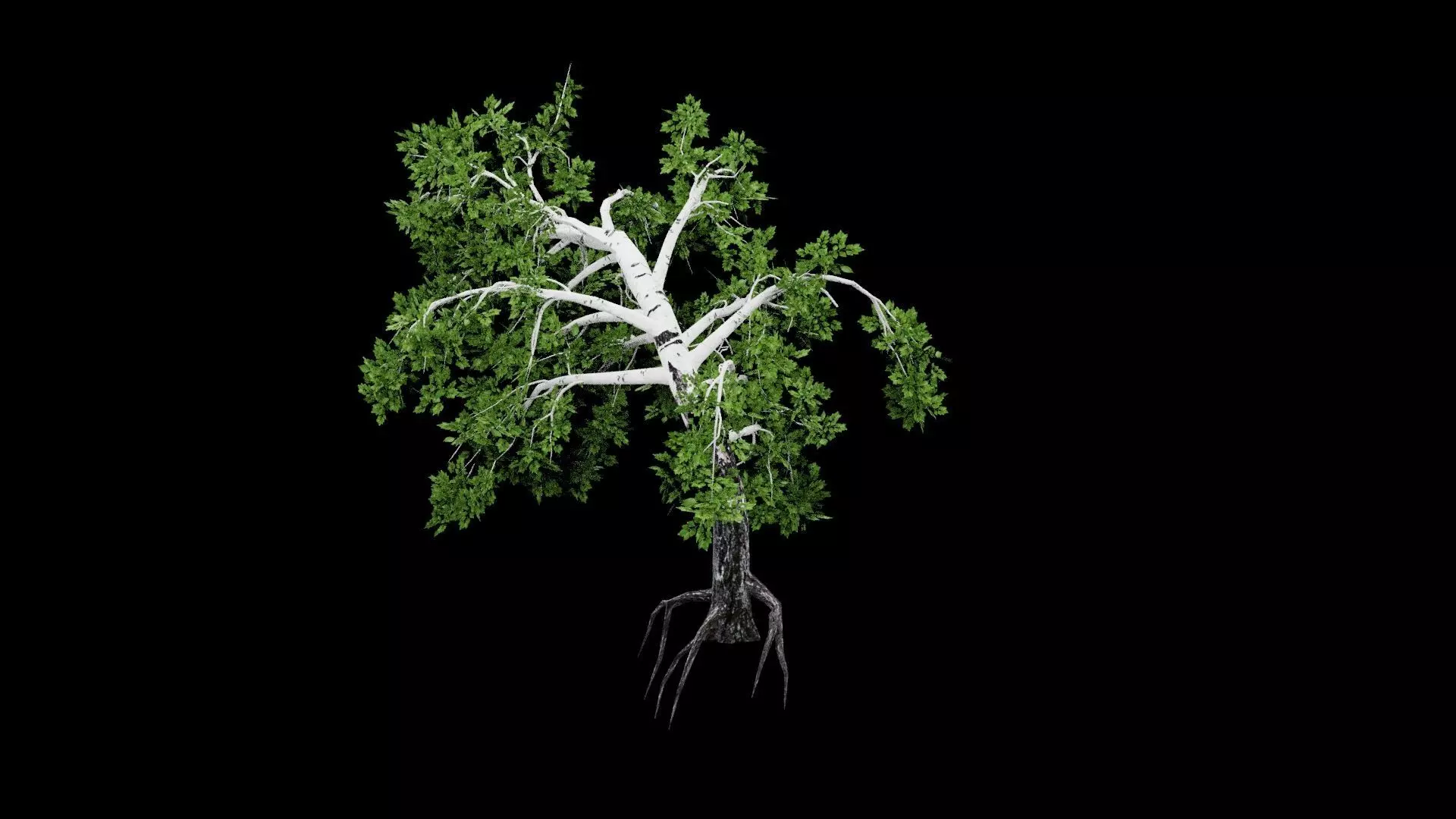 Realistic Tree Low-poly 3D model_0