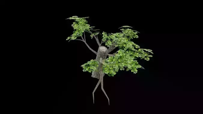 Realistic Tree
