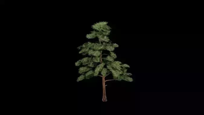 Realistic Tree