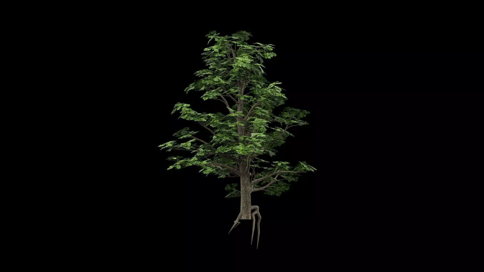 Realistic Tree Low-poly 3D model_5