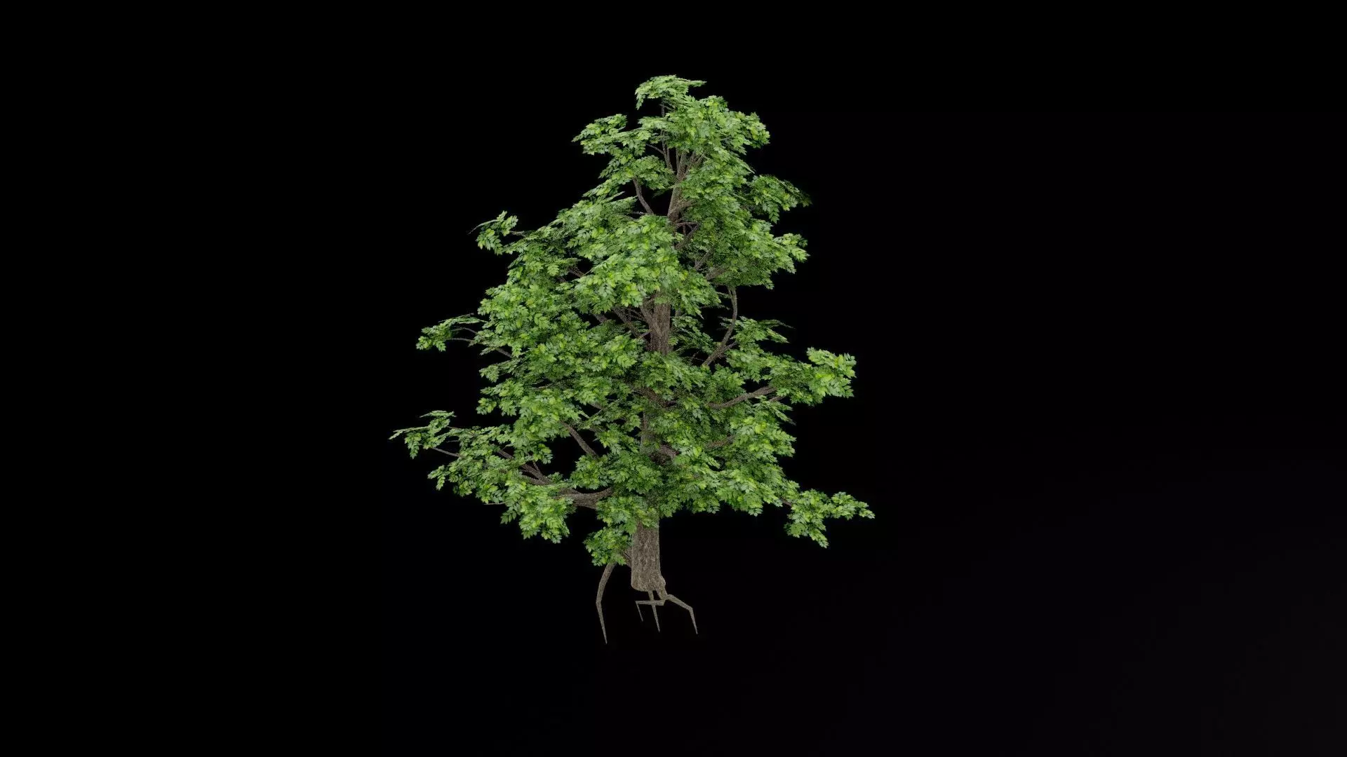 Realistic Tree Low-poly 3D model_7