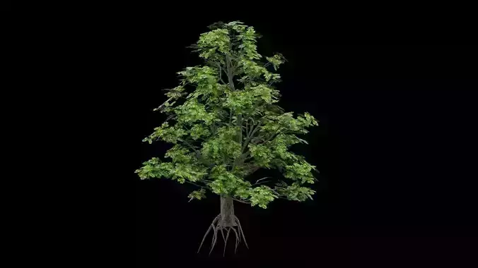 Realistic Tree