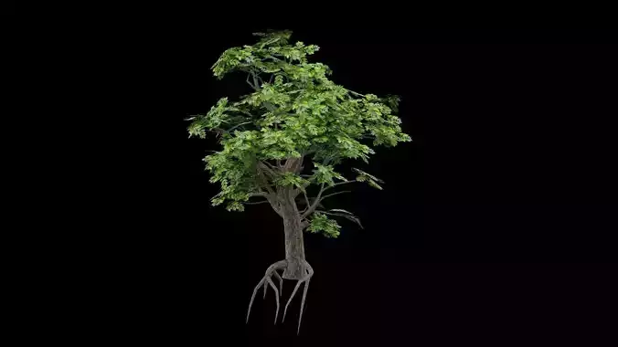 Realistic Tree