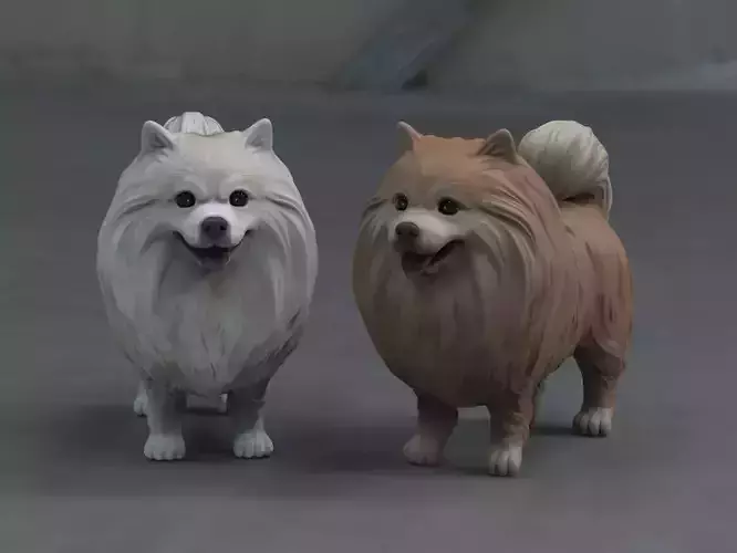 Pomeranian Realistic 3D print model