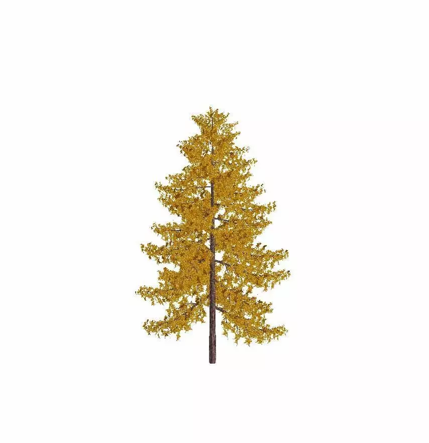 Pine Tree Low-poly 3D model 3D model_3