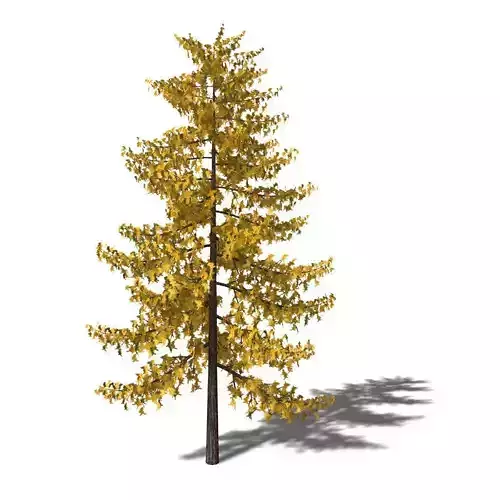 Pine Tree Low-poly 3D model 3D model