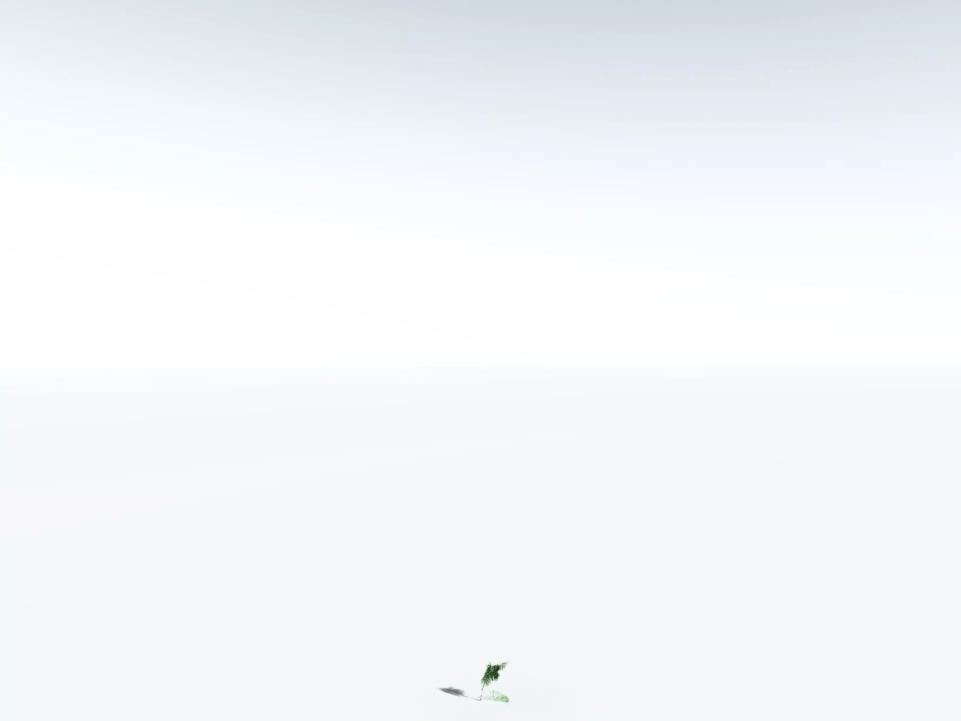 EVERYPlant Coconut Palm 3D model_28