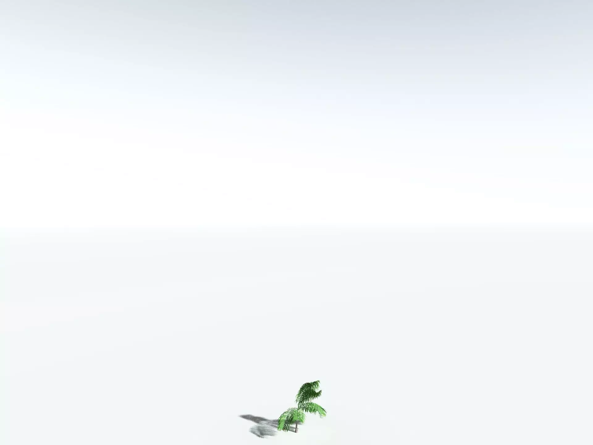 EVERYPlant Coconut Palm 3D model_26