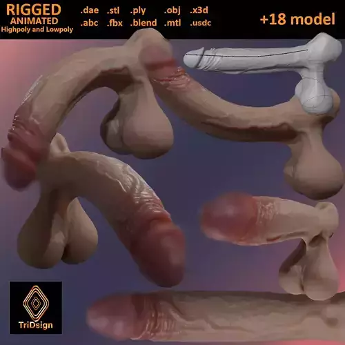Stylized Penis and Balls Rigged Lowpoly and Highpoly