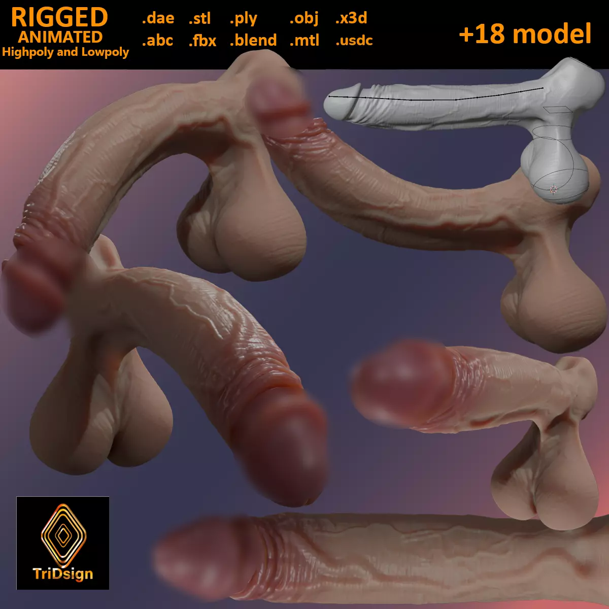 Stylized Penis and Balls Rigged Lowpoly and Highpoly Low-poly 3D model_0