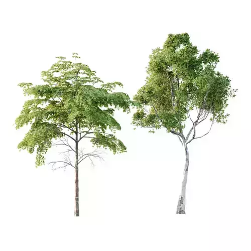 Different Trees 22