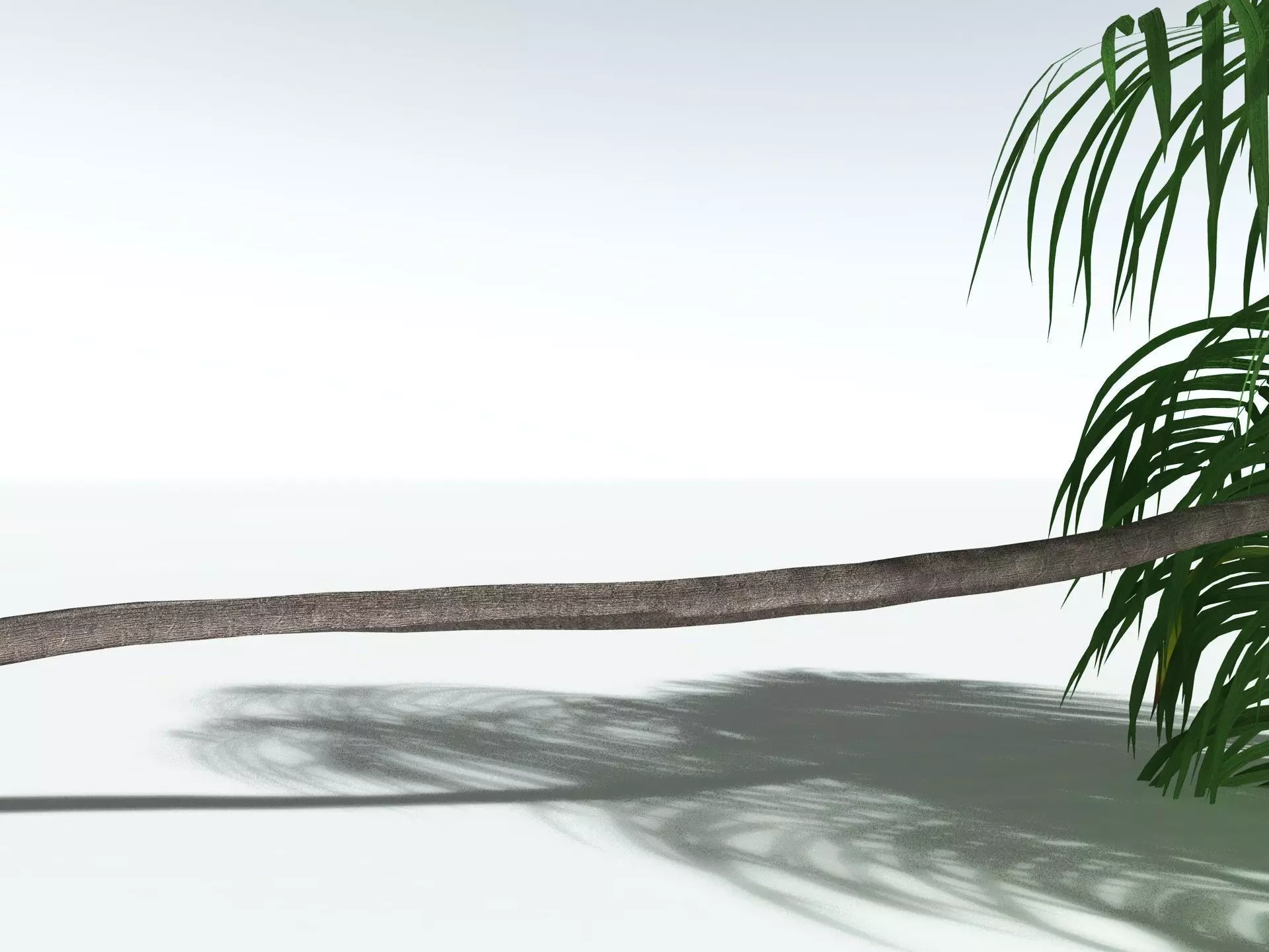 EVERYPlant Coconut Palm LowPoly Low-poly 3D model_35