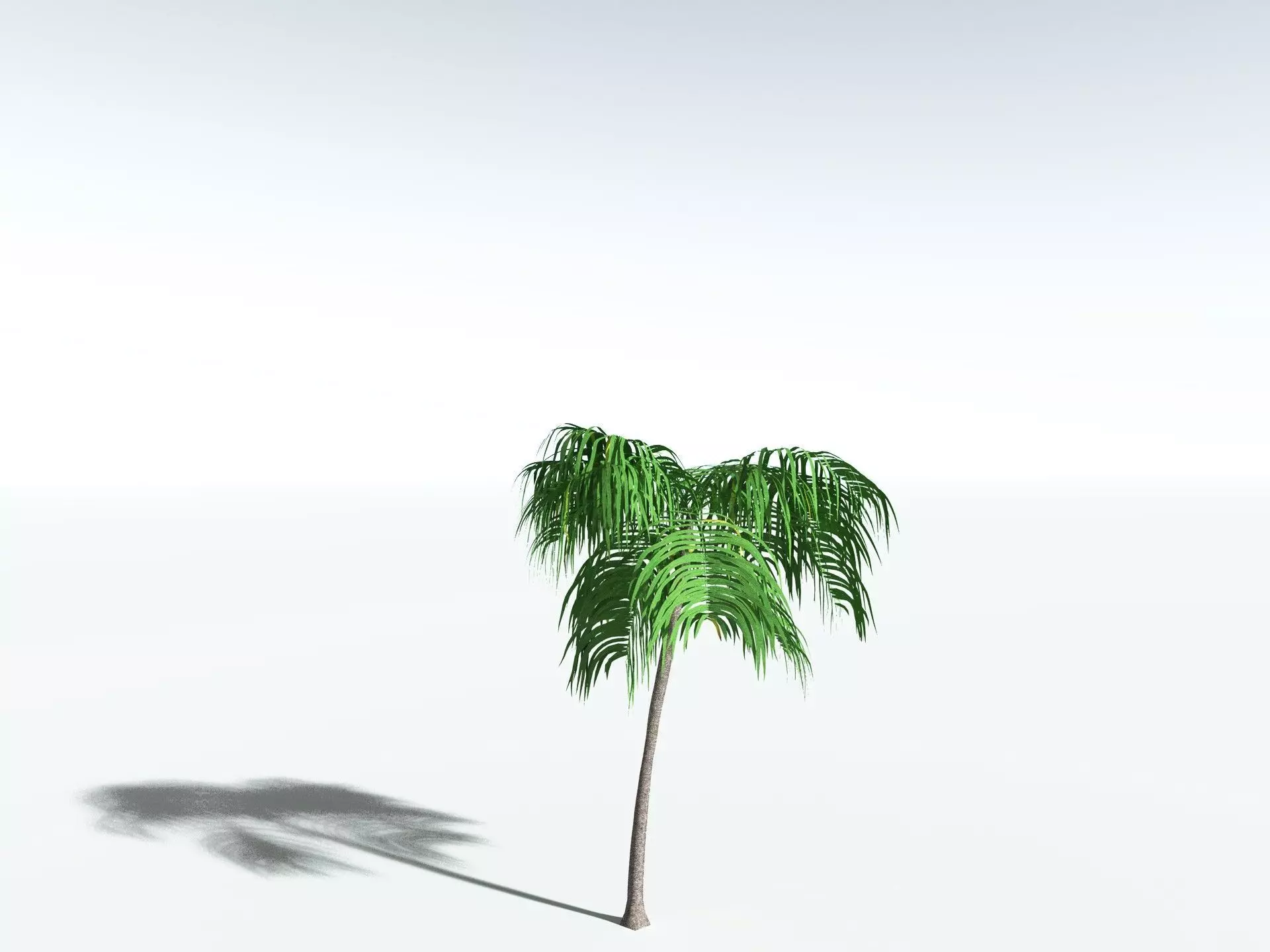 EVERYPlant Coconut Palm LowPoly Low-poly 3D model_22