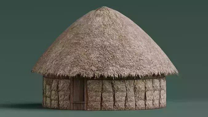 Traditional Houses - Rumah Honai