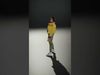 Stylish Yellow Jacket Character model pack Low-poly 3D model_2