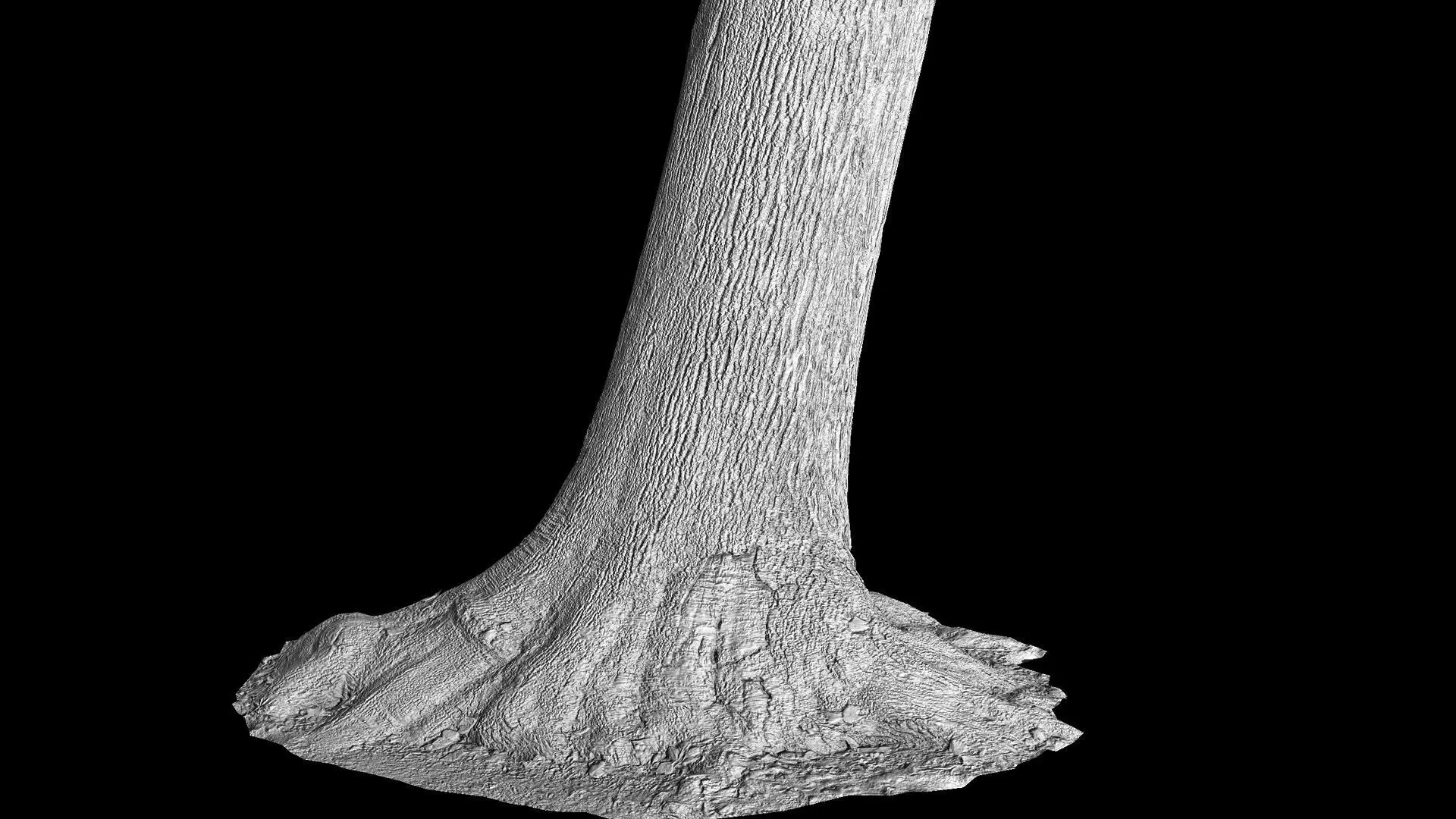 tree bark wide trunk part PBR photogrammetry Low-poly 3D model_6