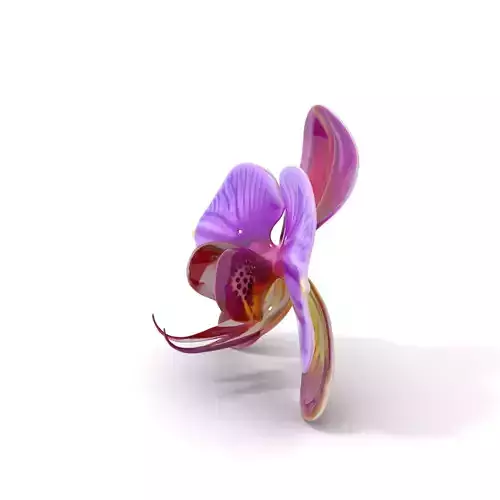 Pink Orchid Flower model pack Low-poly 3D model