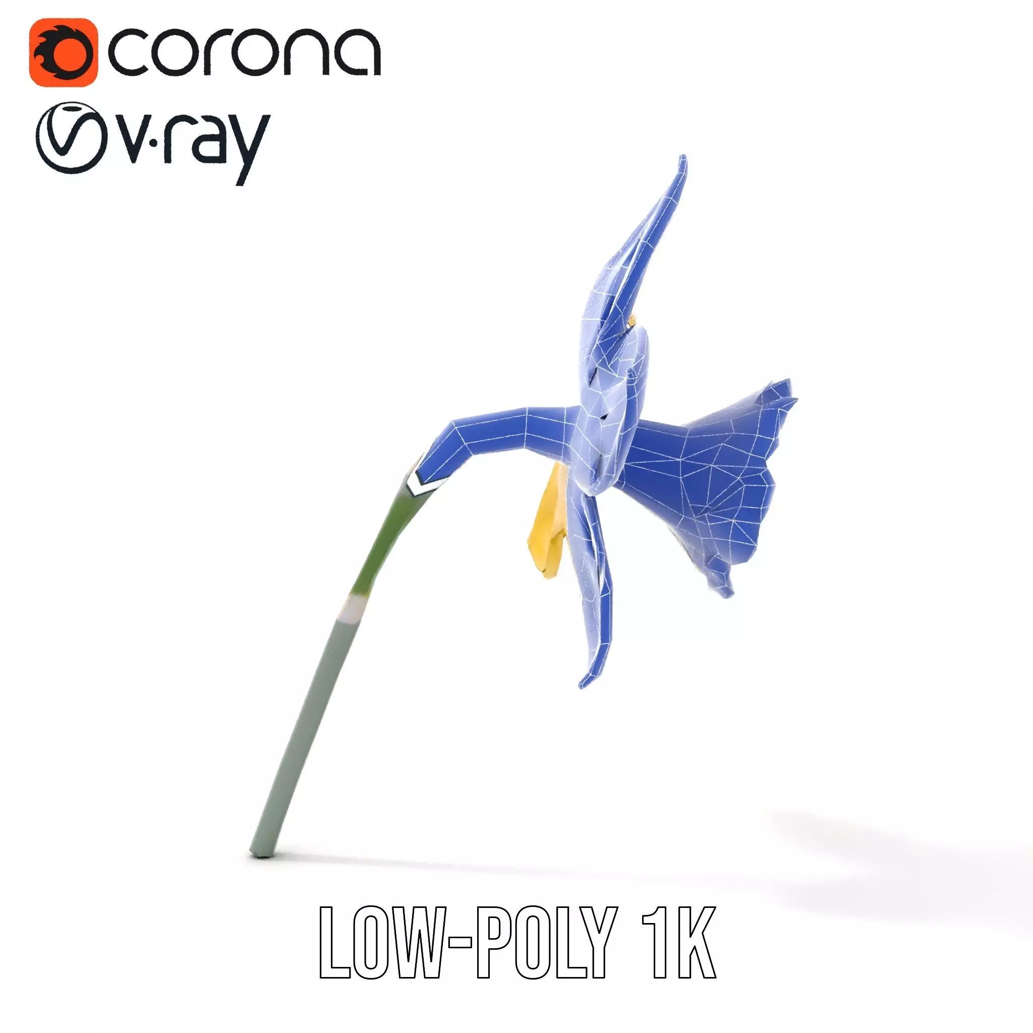 Vibrant Daffodil model pack Low-poly 3D model_26