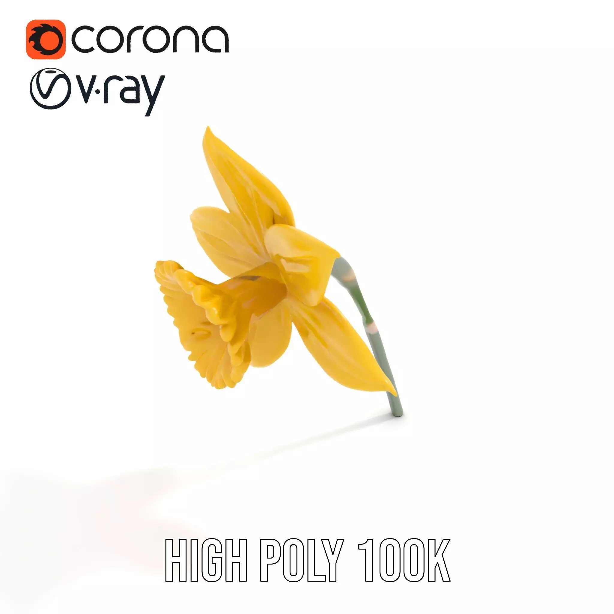 Vibrant Daffodil model pack Low-poly 3D model_27