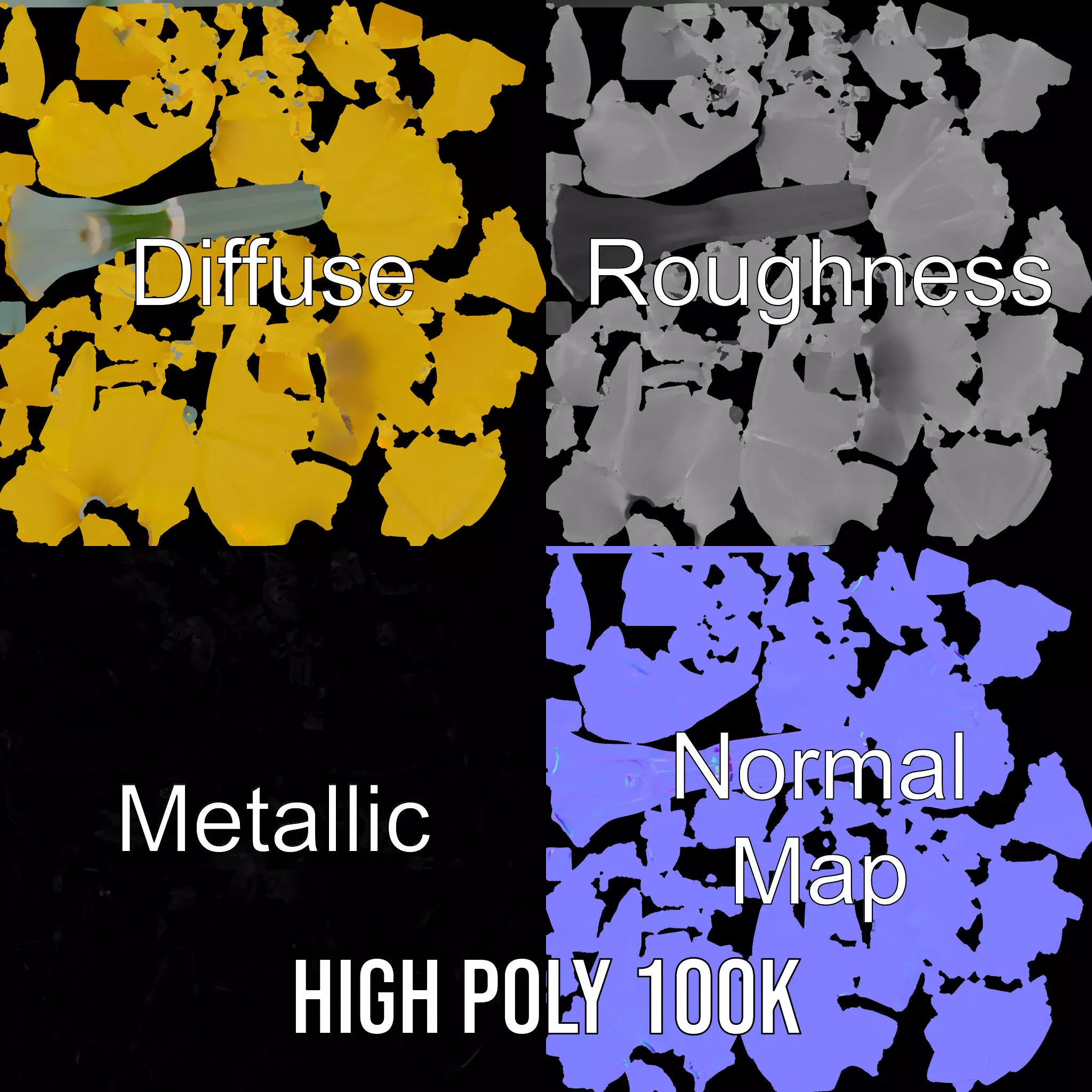 Vibrant Daffodil model pack Low-poly 3D model_4