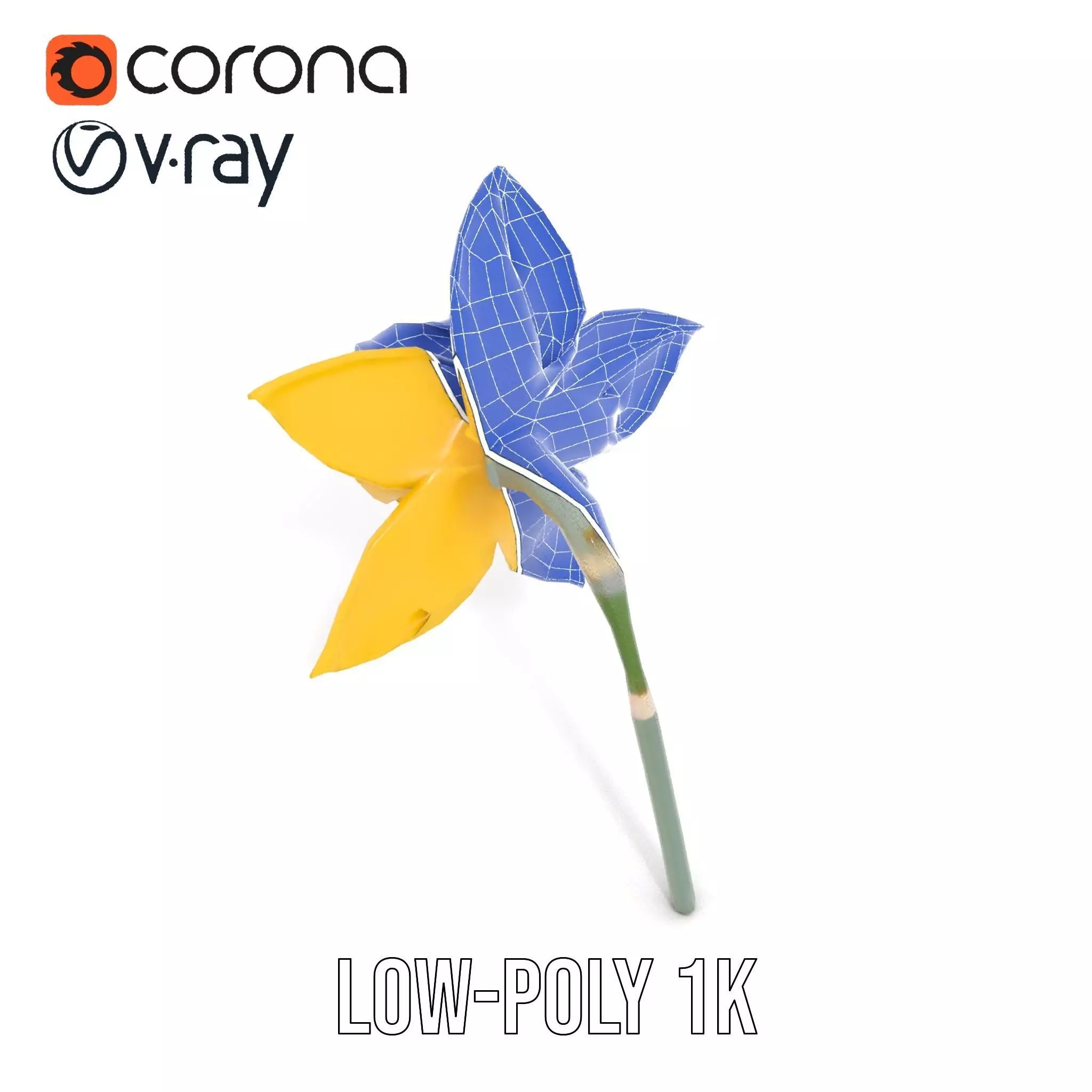 Vibrant Daffodil model pack Low-poly 3D model_15
