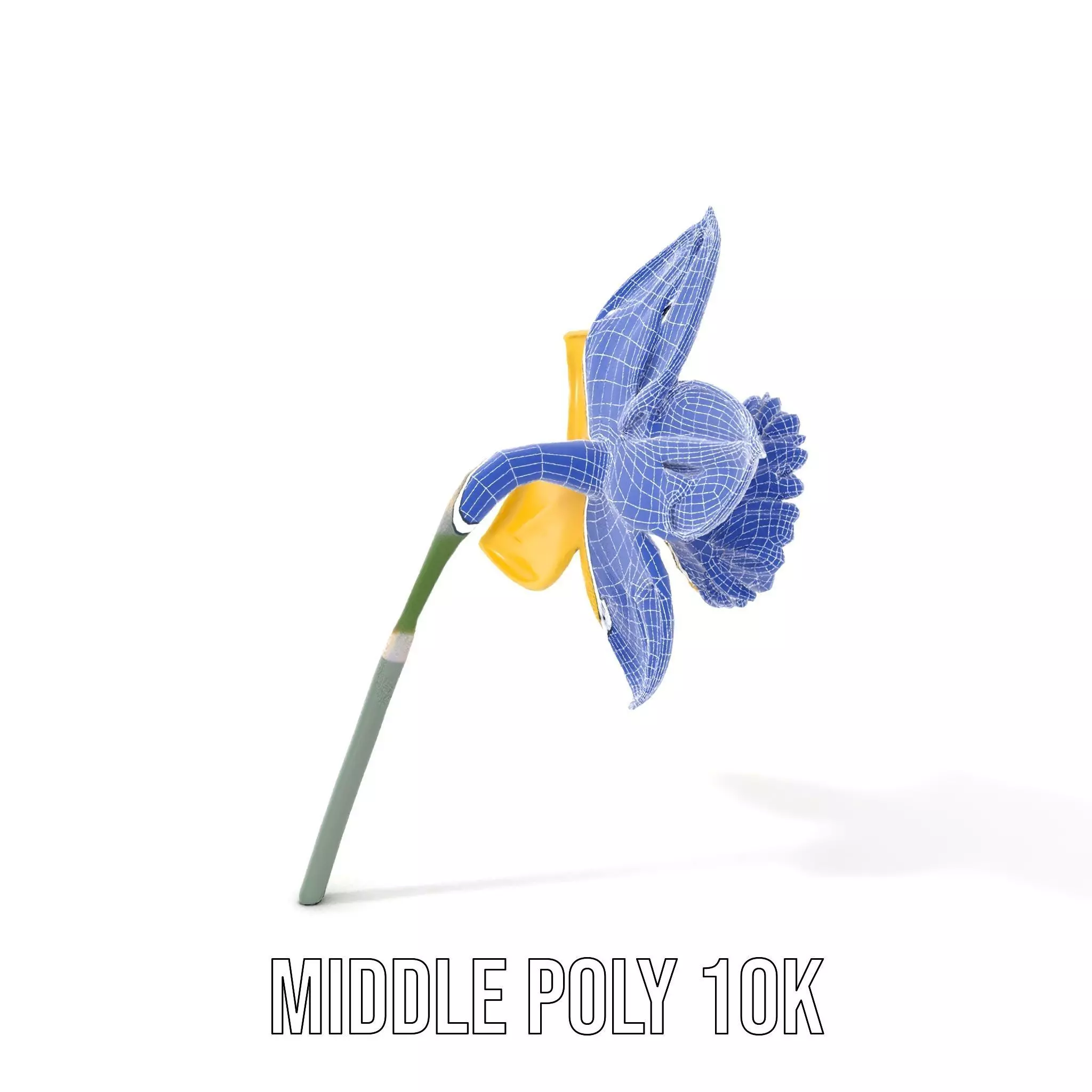 Vibrant Daffodil model pack Low-poly 3D model_7