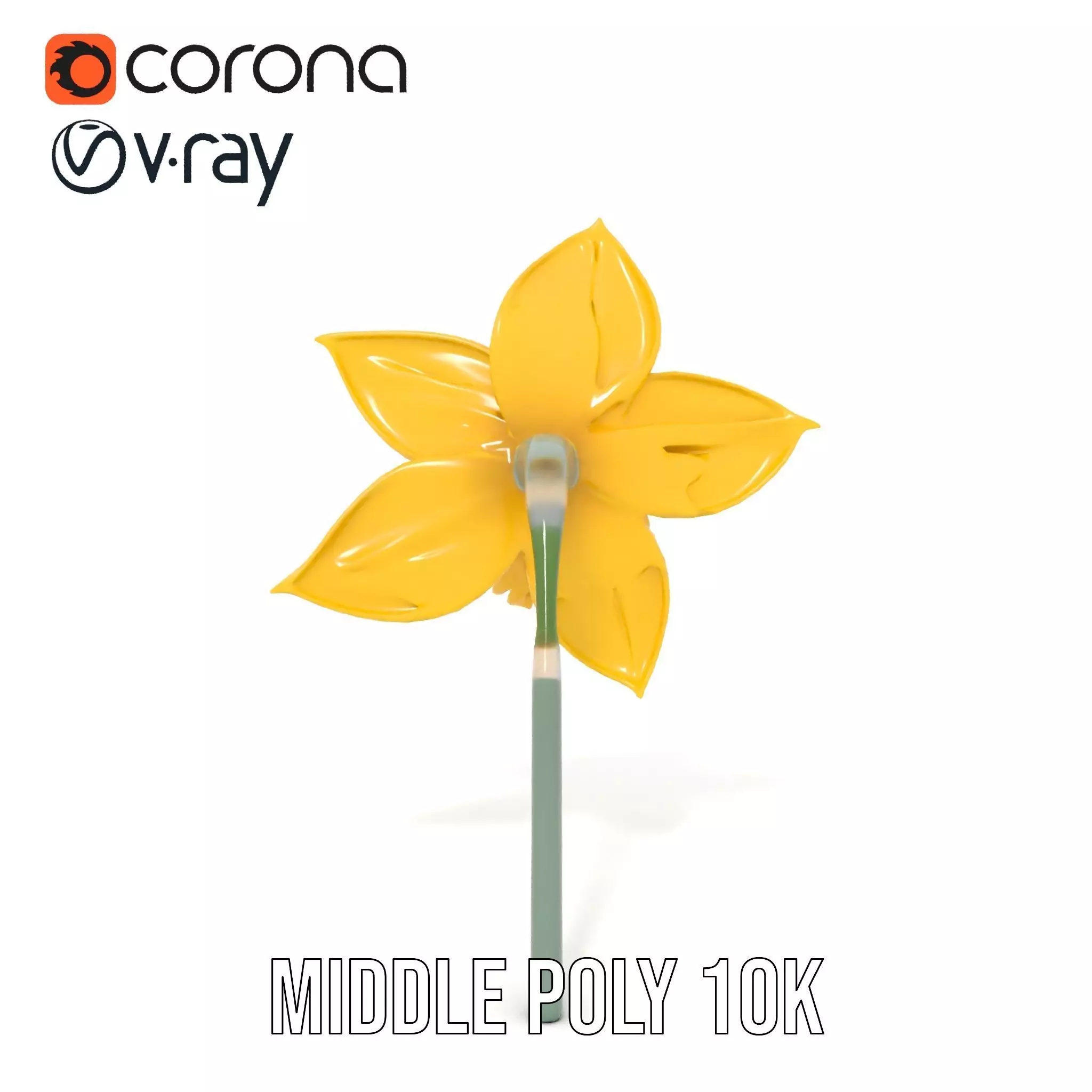 Vibrant Daffodil model pack Low-poly 3D model_16