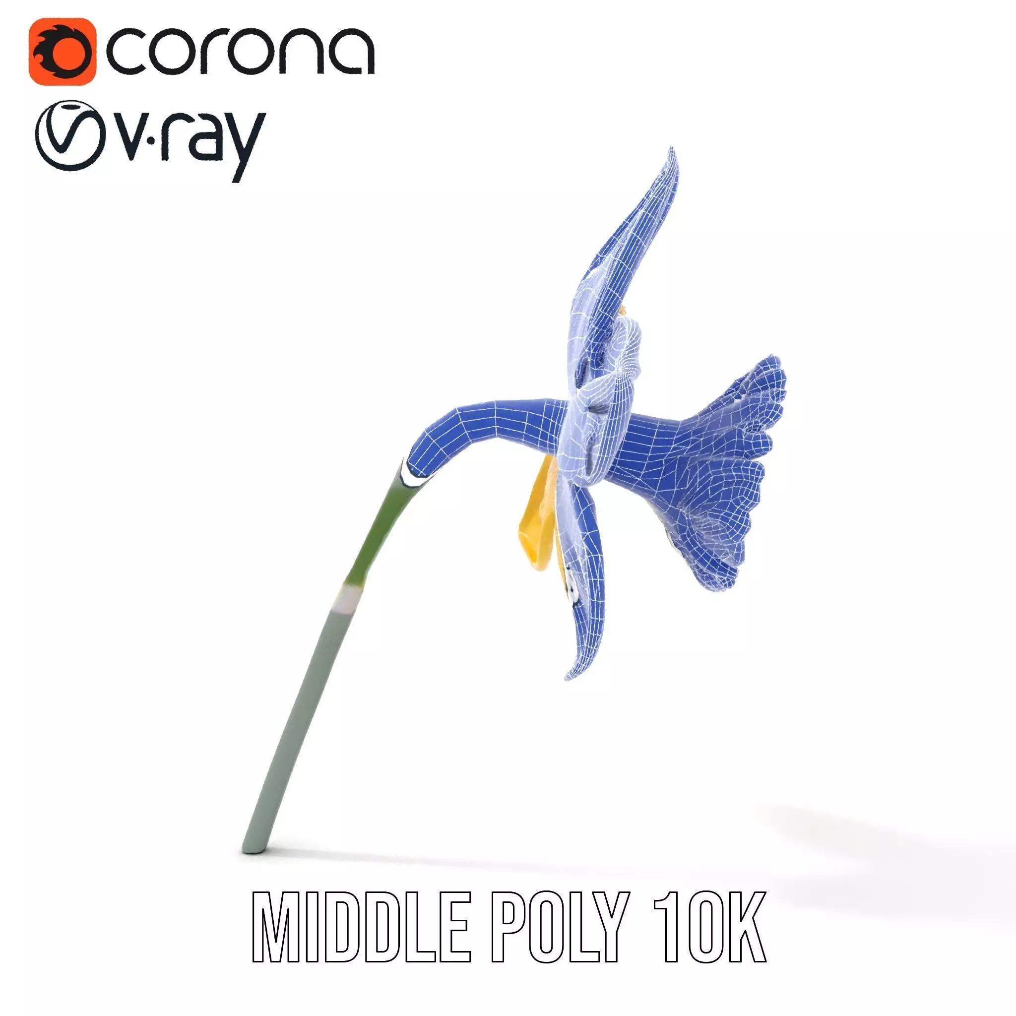 Vibrant Daffodil model pack Low-poly 3D model_31