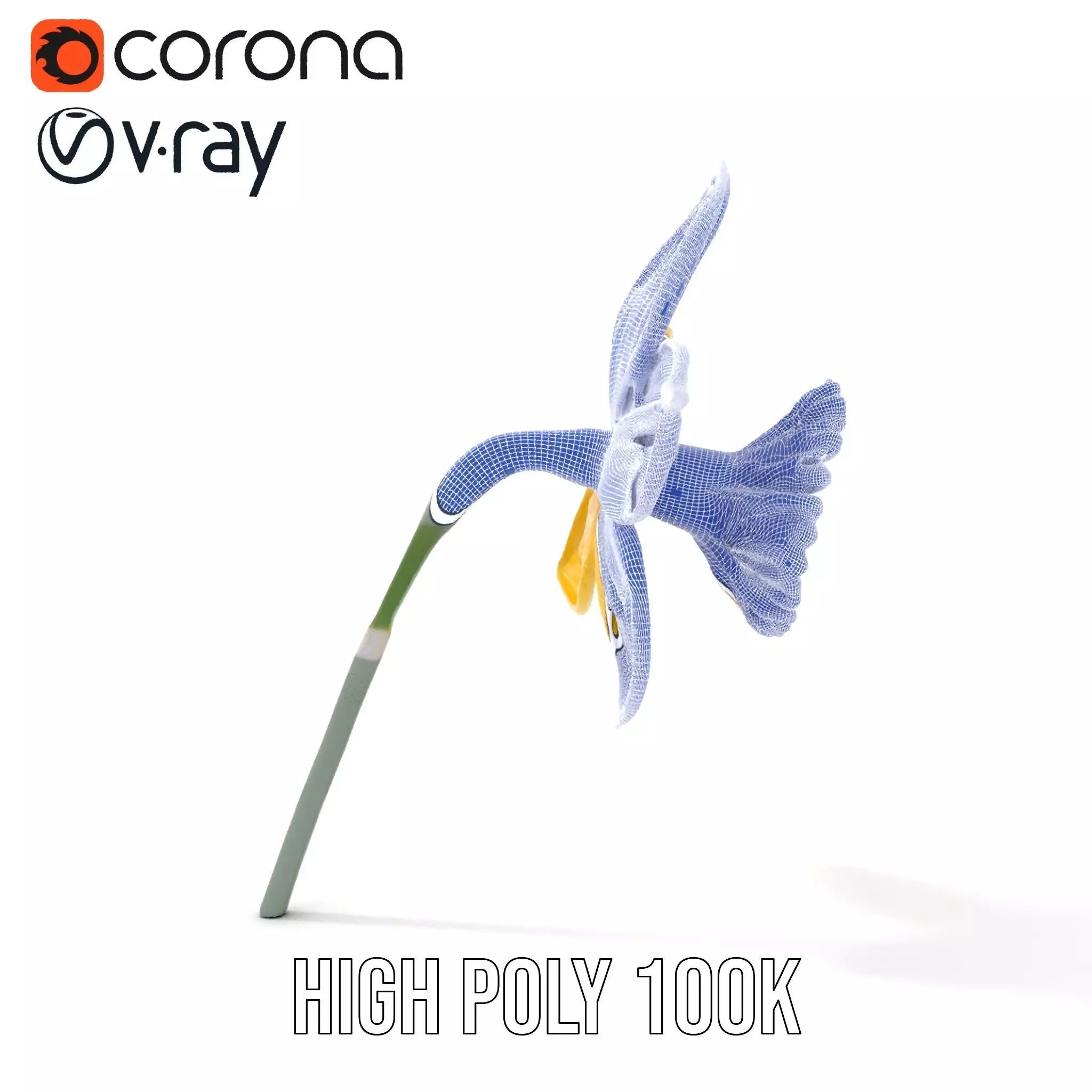 Vibrant Daffodil model pack Low-poly 3D model_35