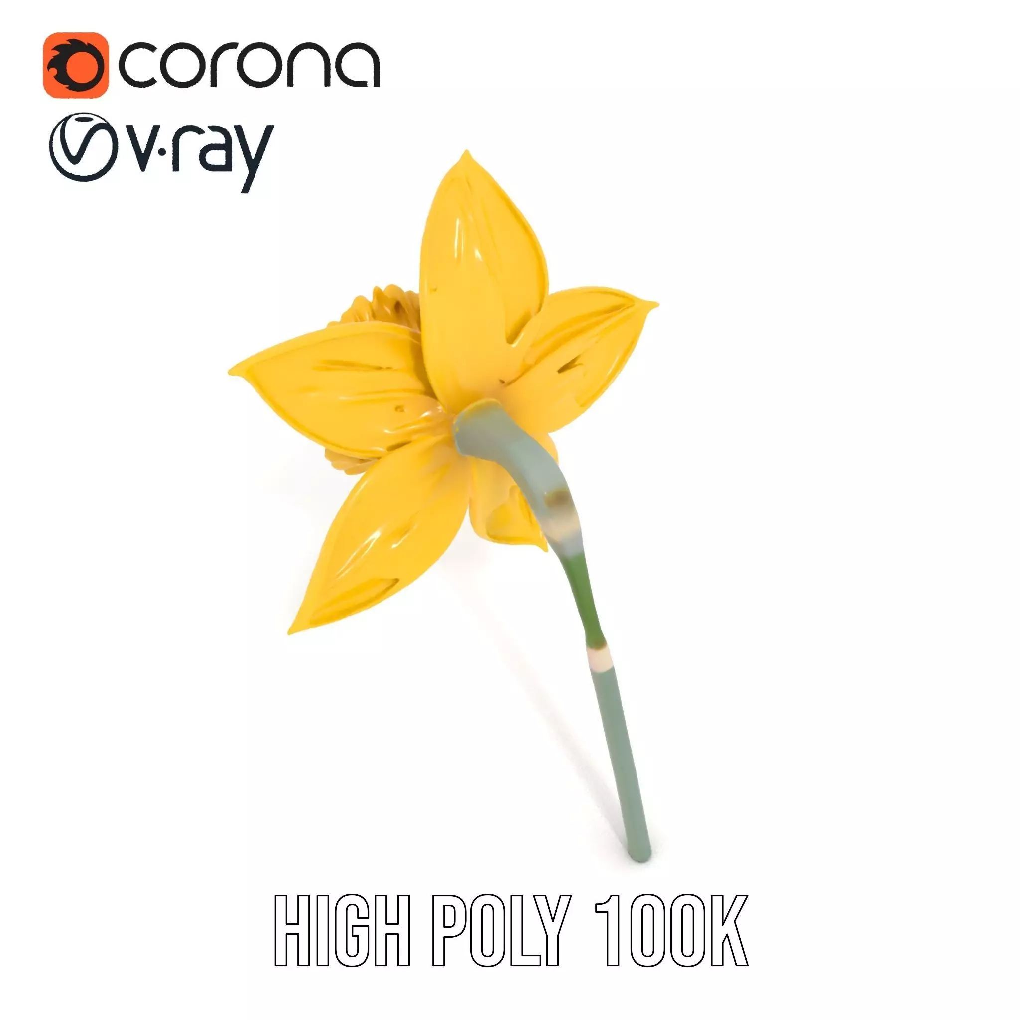 Vibrant Daffodil model pack Low-poly 3D model_18