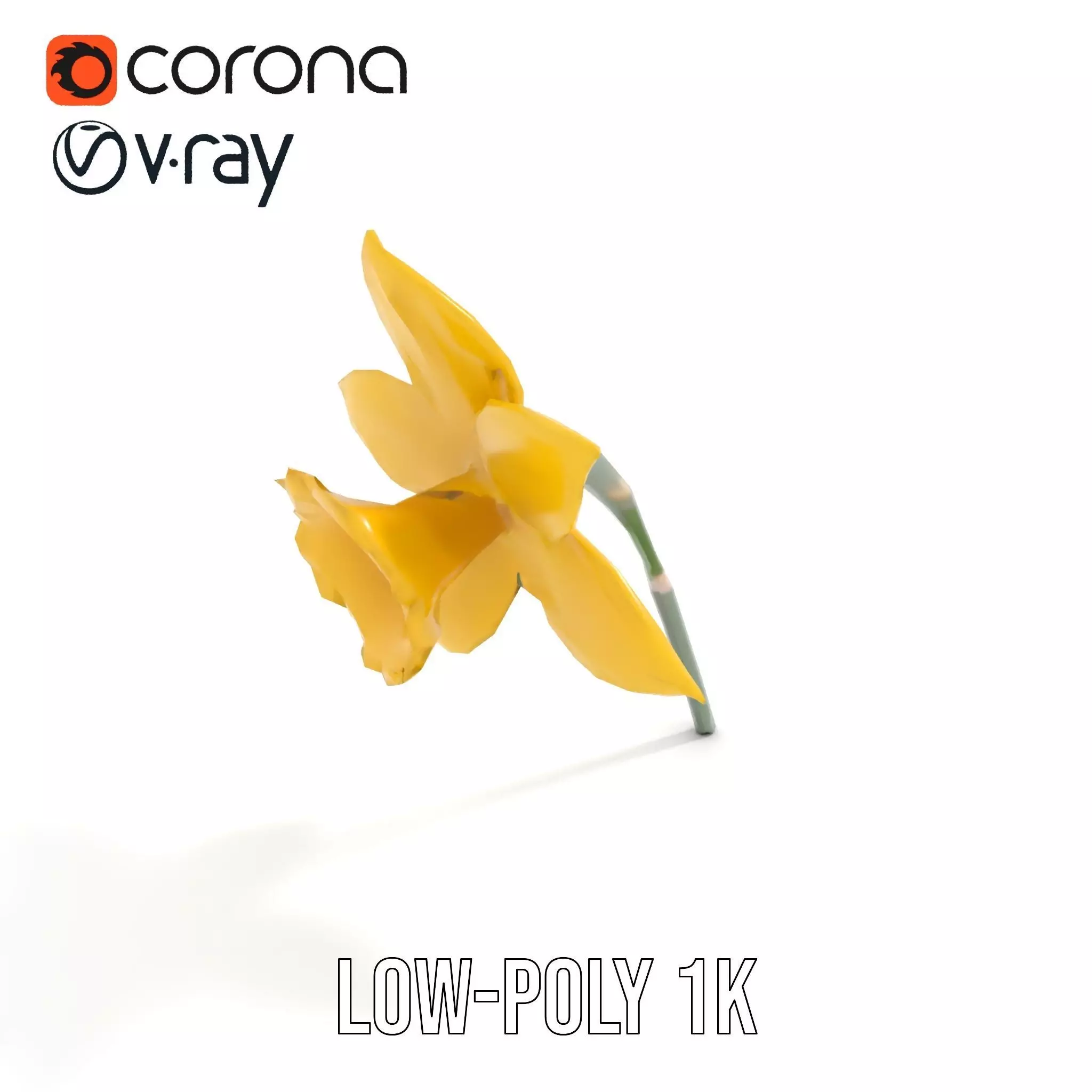 Vibrant Daffodil model pack Low-poly 3D model_23