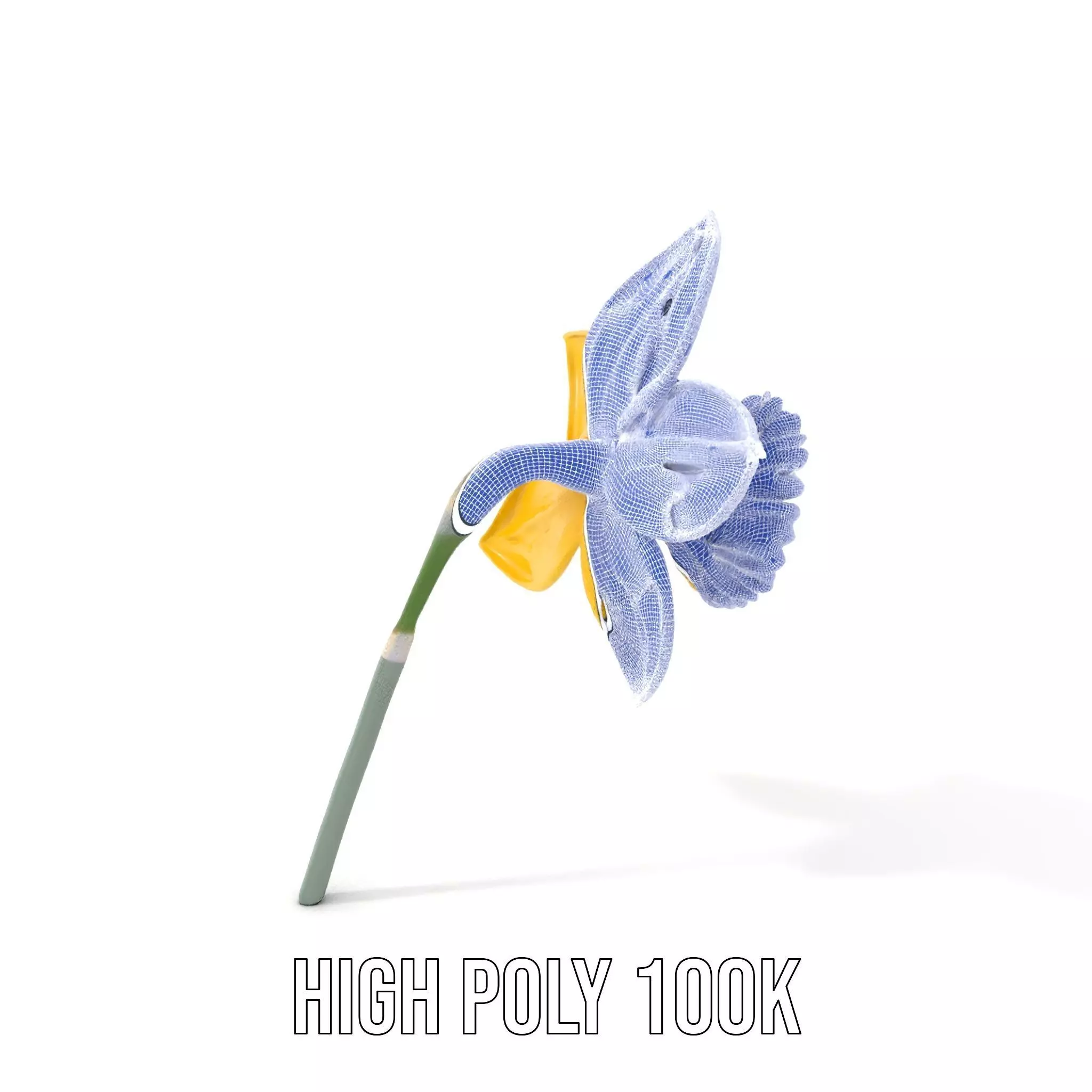 Vibrant Daffodil model pack Low-poly 3D model_5