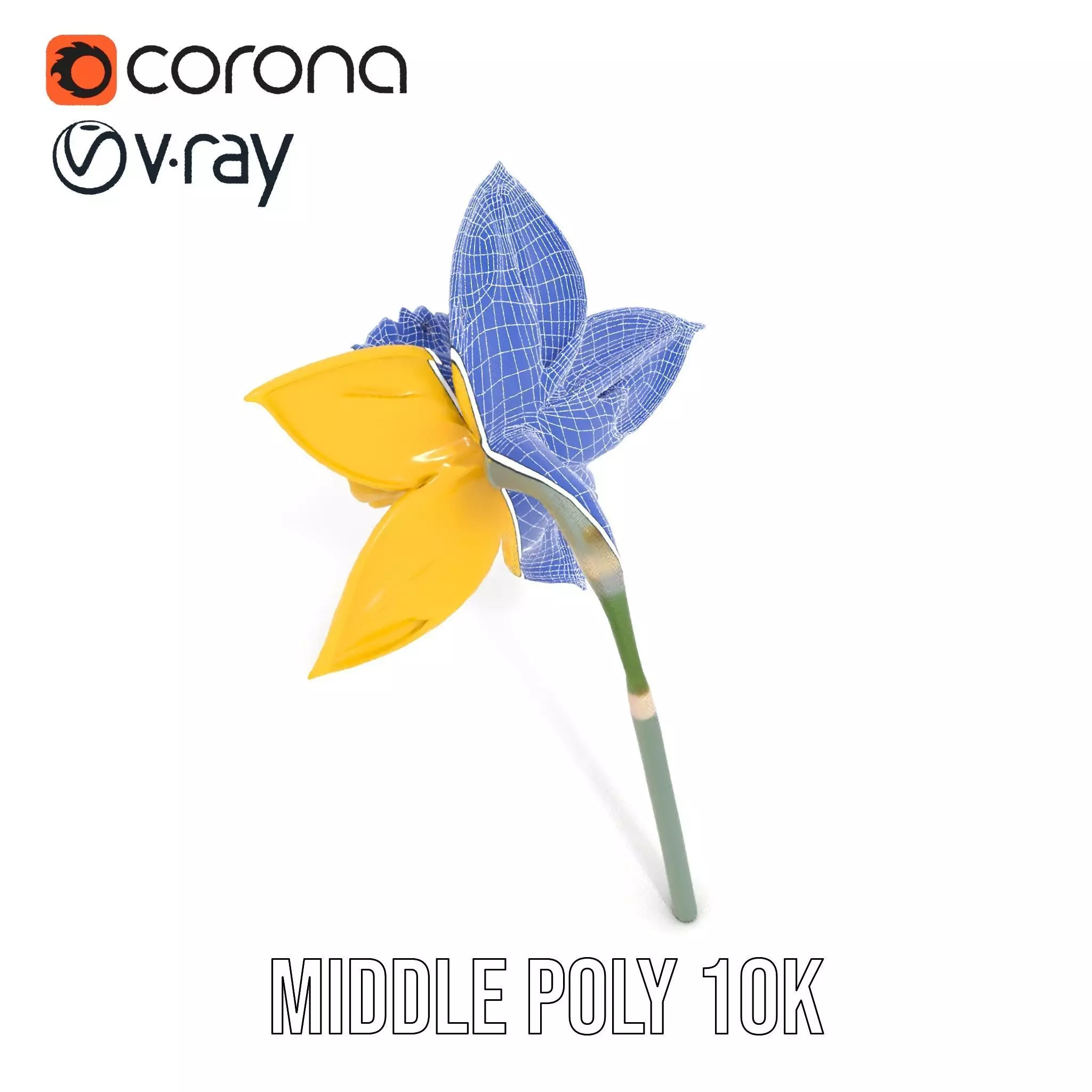 Vibrant Daffodil model pack Low-poly 3D model_14