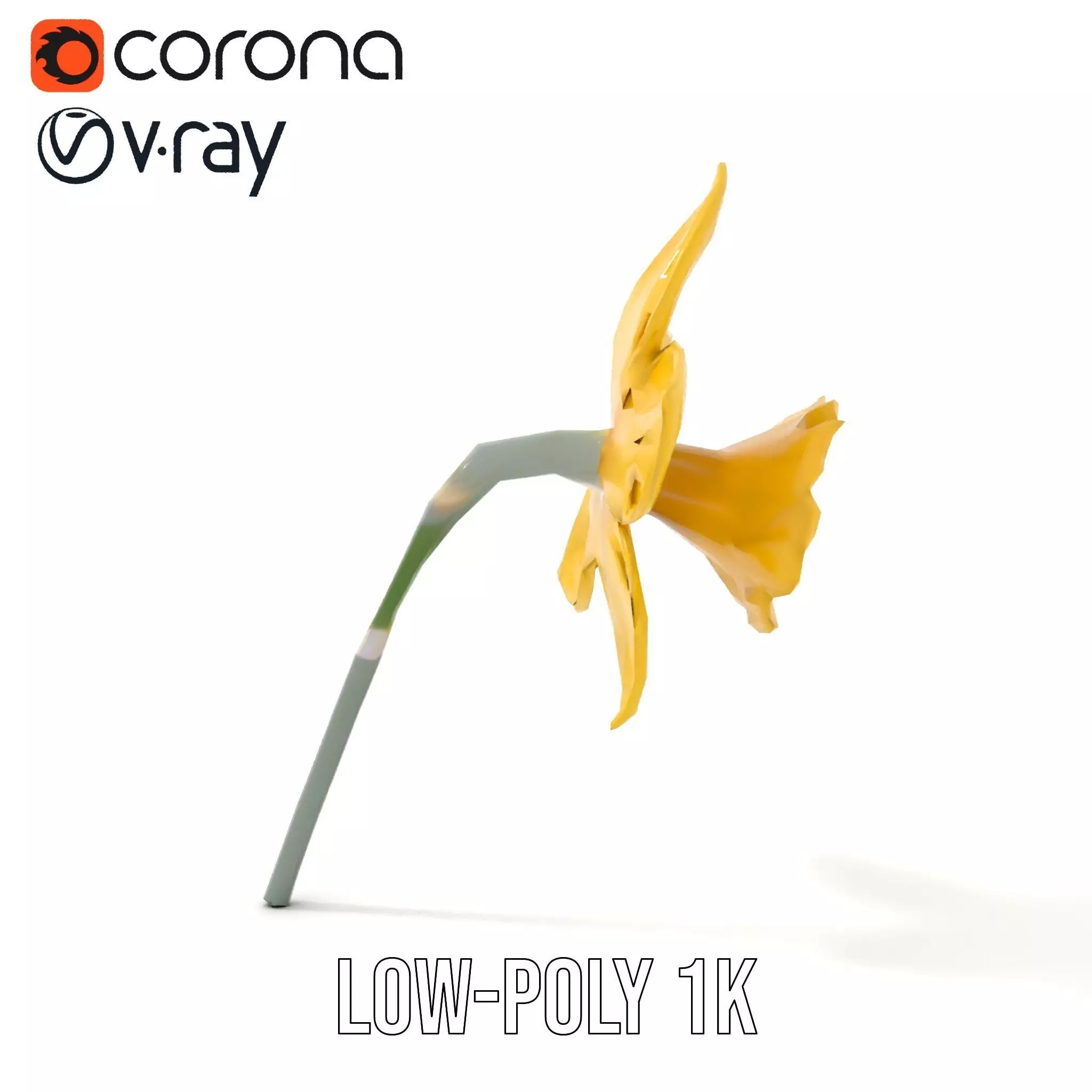 Vibrant Daffodil model pack Low-poly 3D model_17