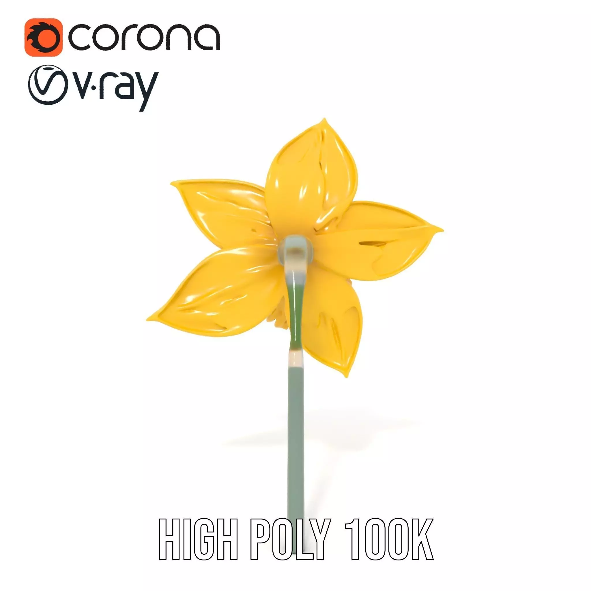 Vibrant Daffodil model pack Low-poly 3D model_21